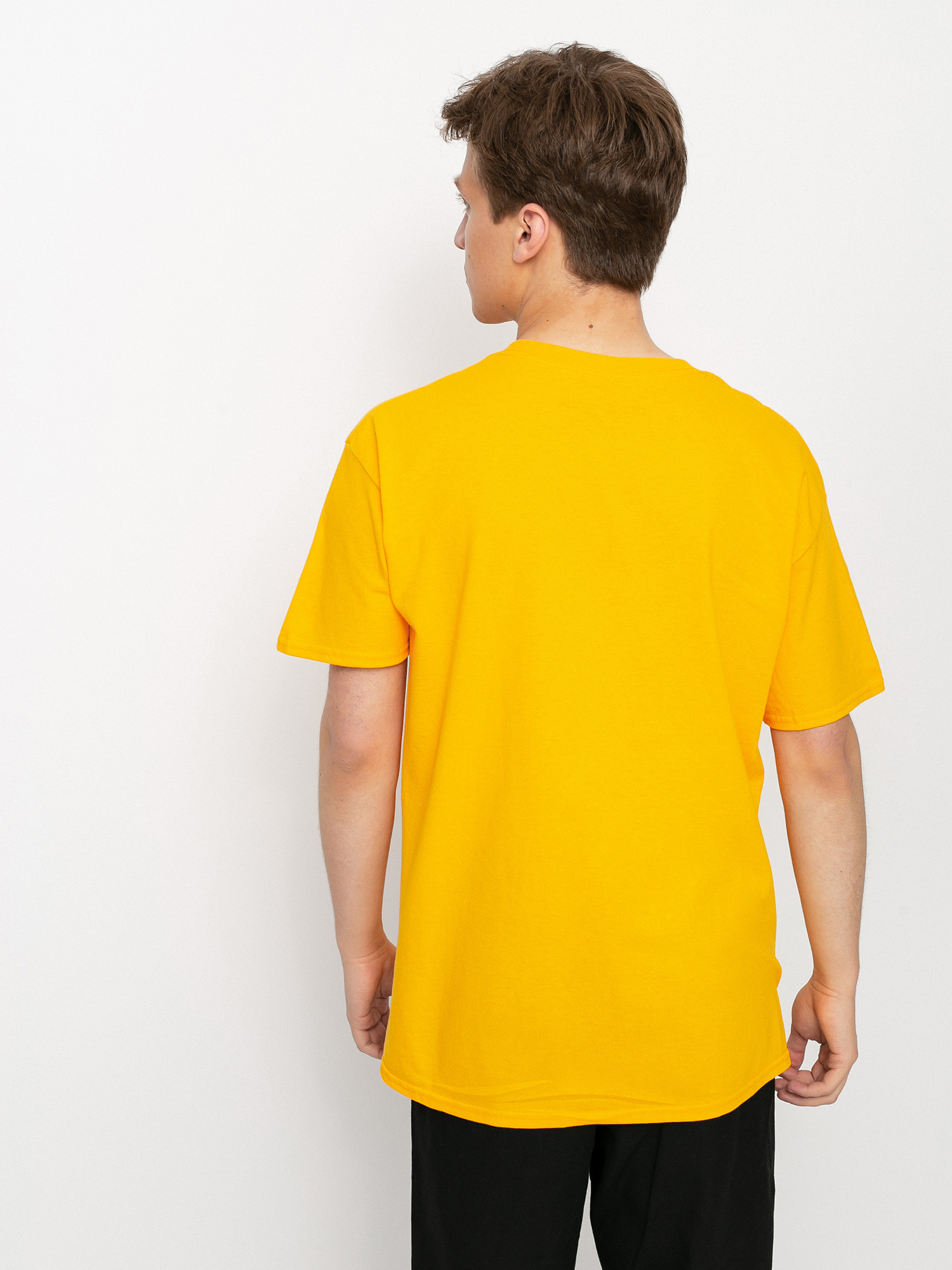 Antihero Basic Pigeon T-shirt (gold/black)