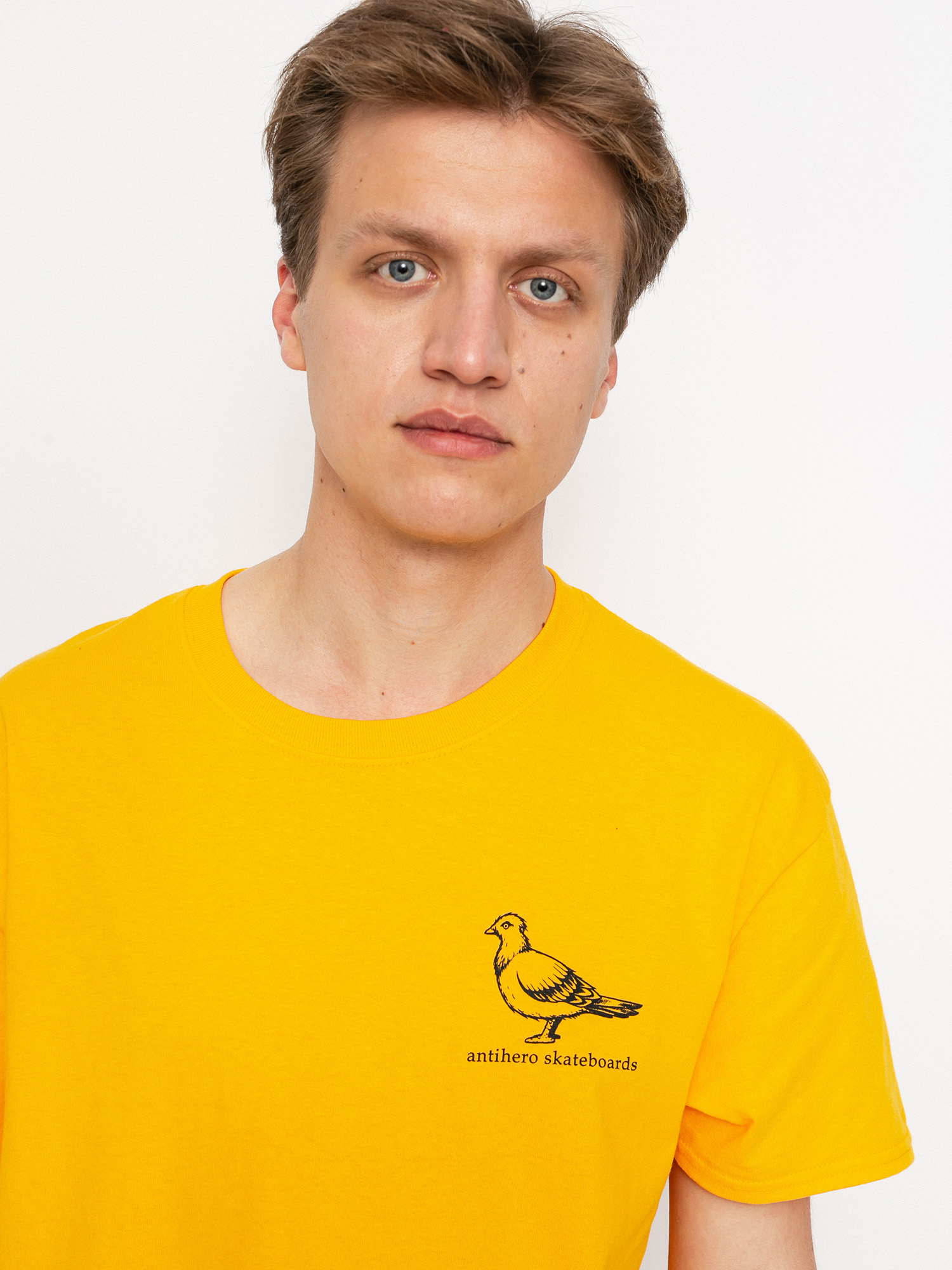 Antihero Basic Pigeon T-shirt (gold/black)