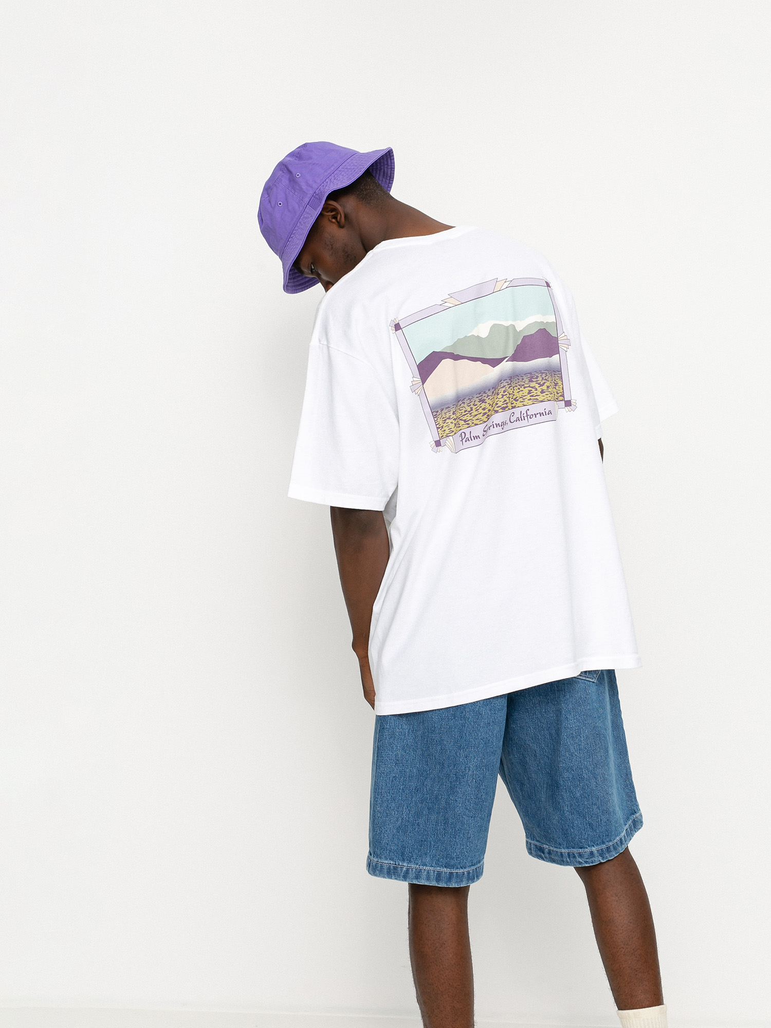 Stussy Palm Springs T-shirt (white)