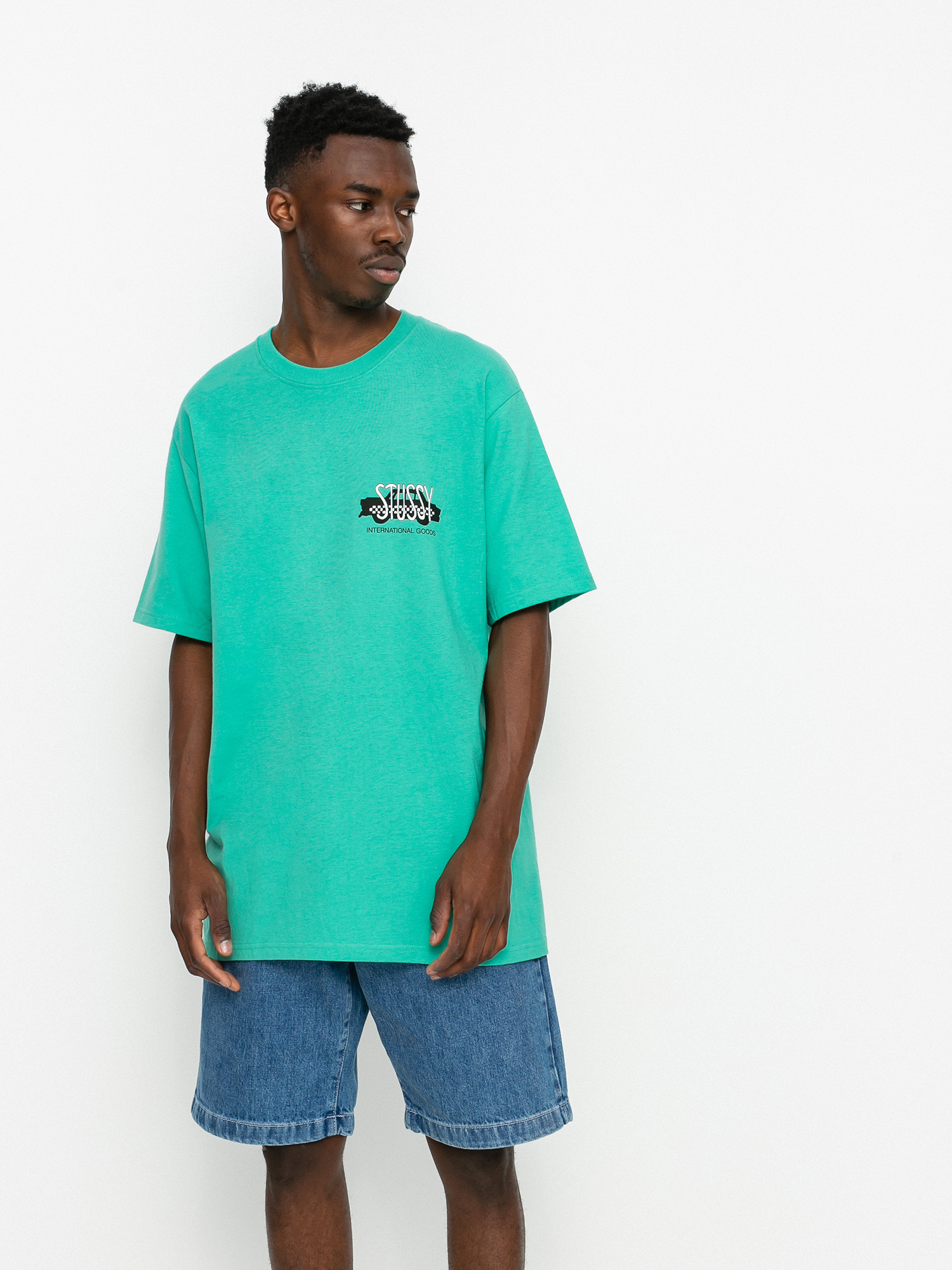 Stussy Taxi Cab T-shirt (green)
