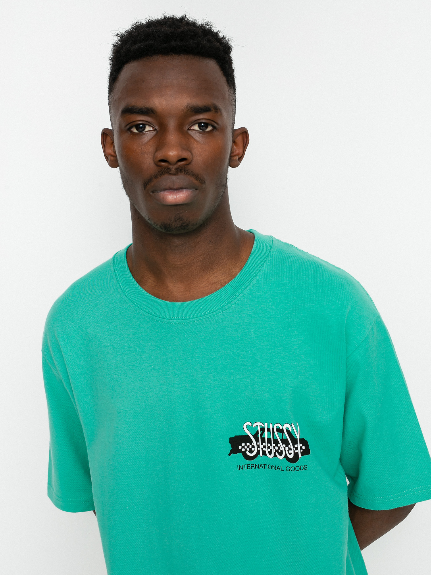 Stussy Taxi Cab T-shirt (green)