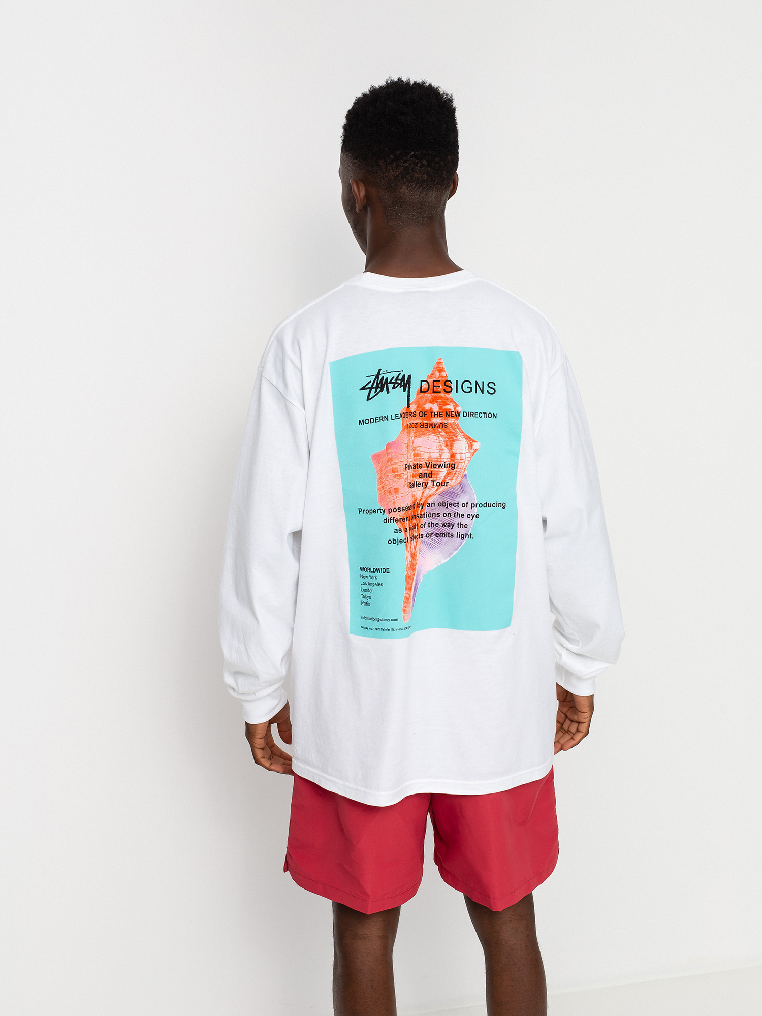 Stussy Modern Leaders Longsleeve - white (white)
