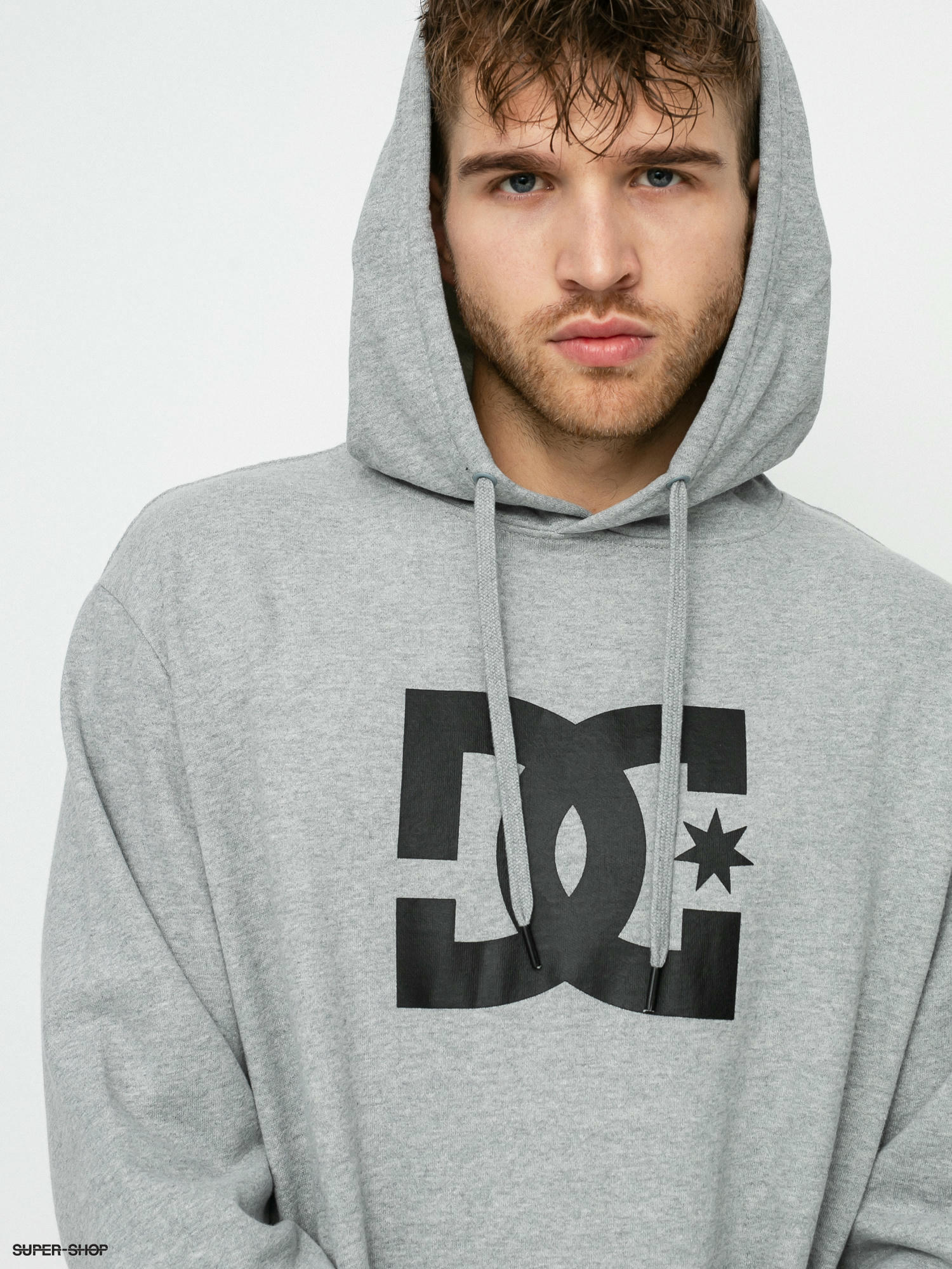 DC Shoes ディーシー STAR PILOT - Hoodie - heather grey/turkish sea