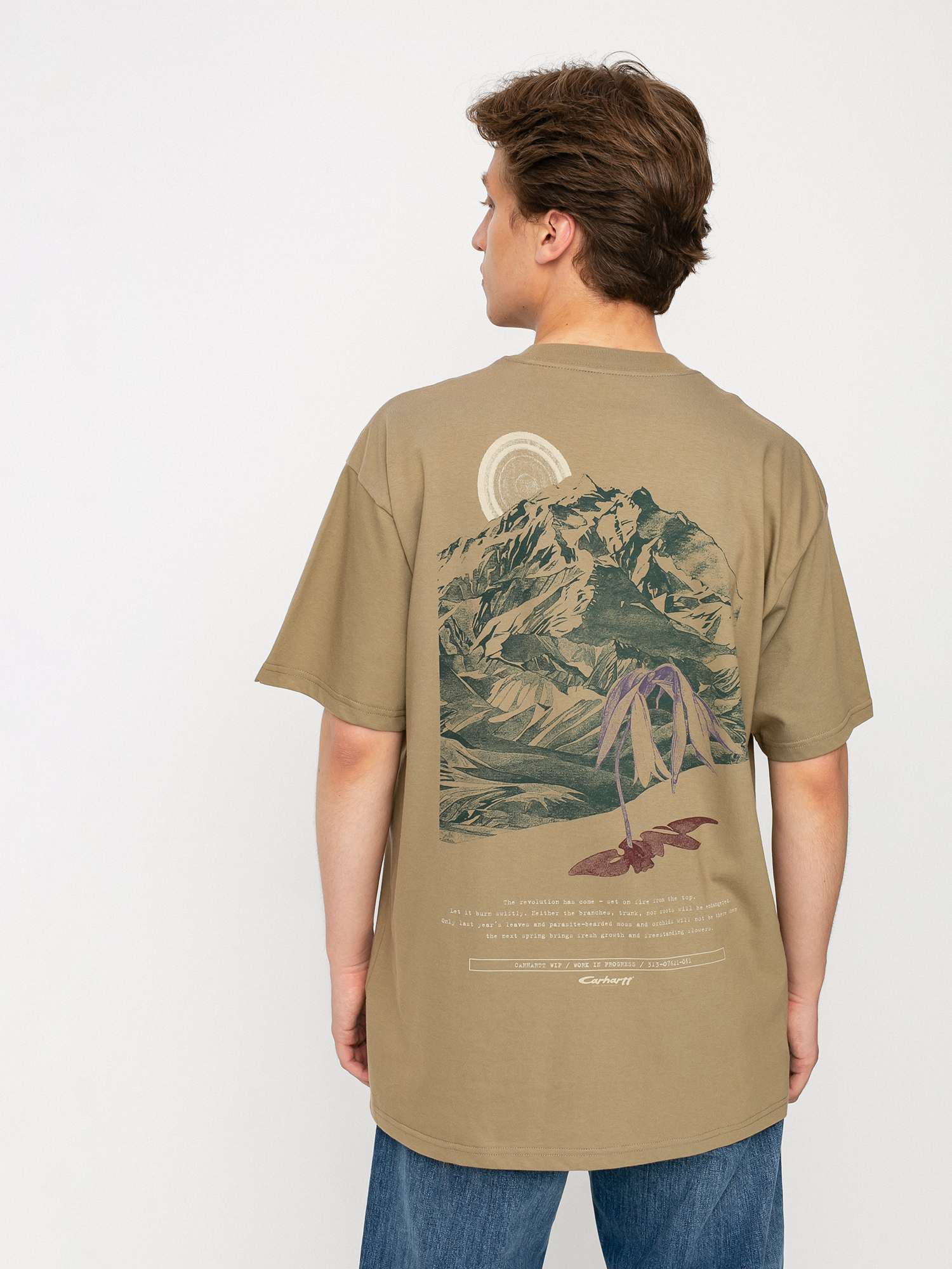 Carhartt WIP Mountain T-shirt (tanami)