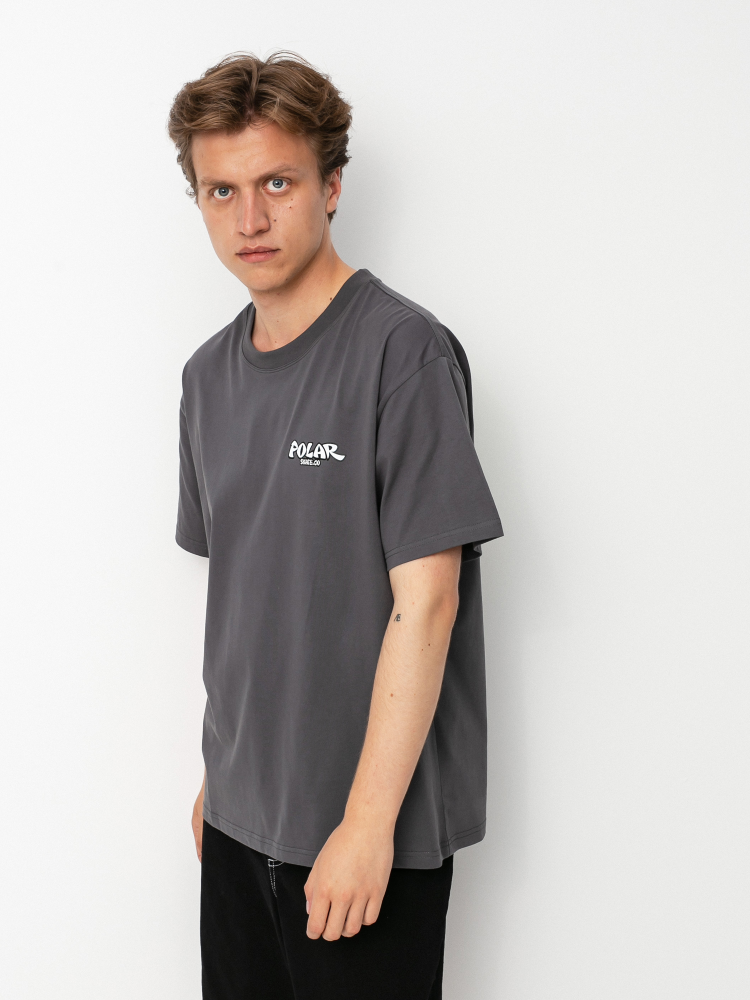 Polar Skate Mt Fuji T-shirt (graphite)