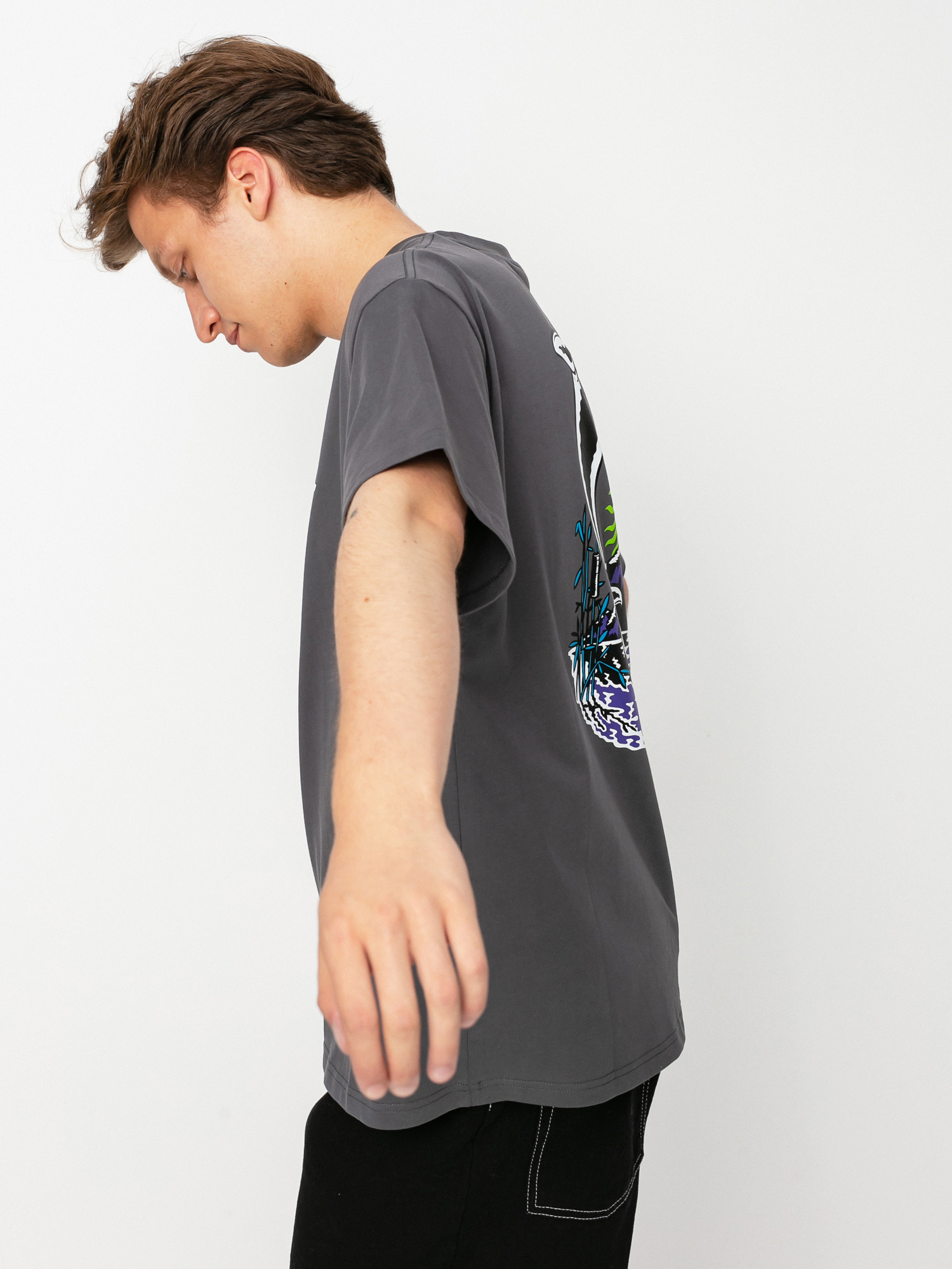 Polar Skate Mt Fuji T-shirt (graphite)