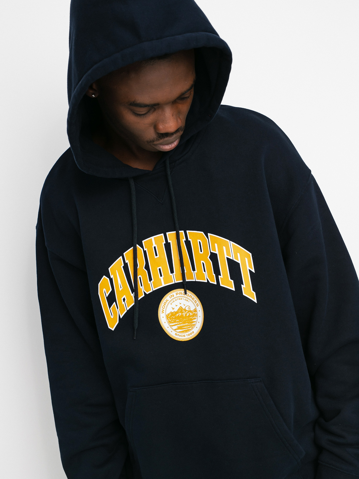 Carhartt WIP Berkeley HD Hoodie (astro)