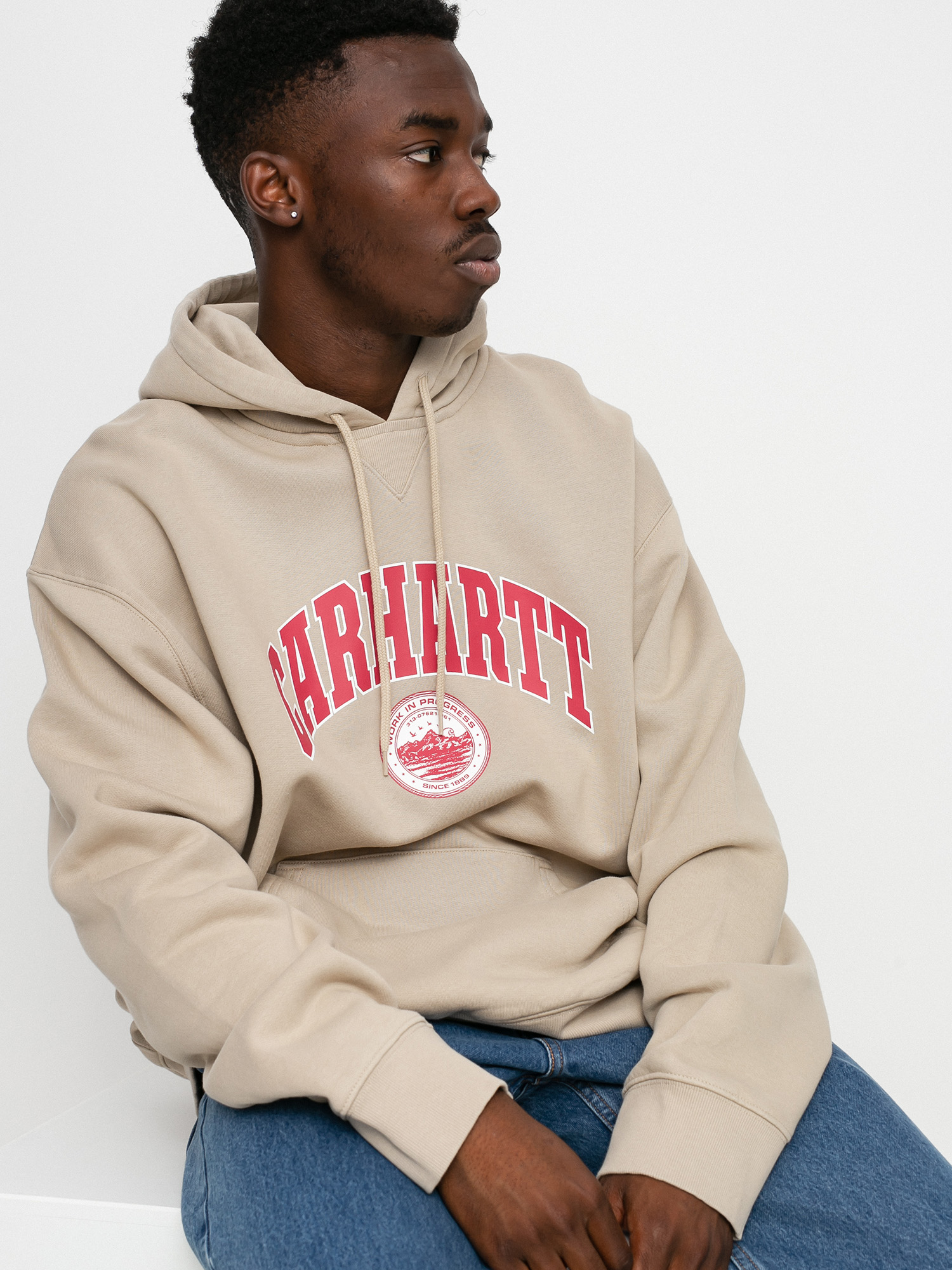 Carhartt WIP Berkeley HD Hoodie - brown (wall)