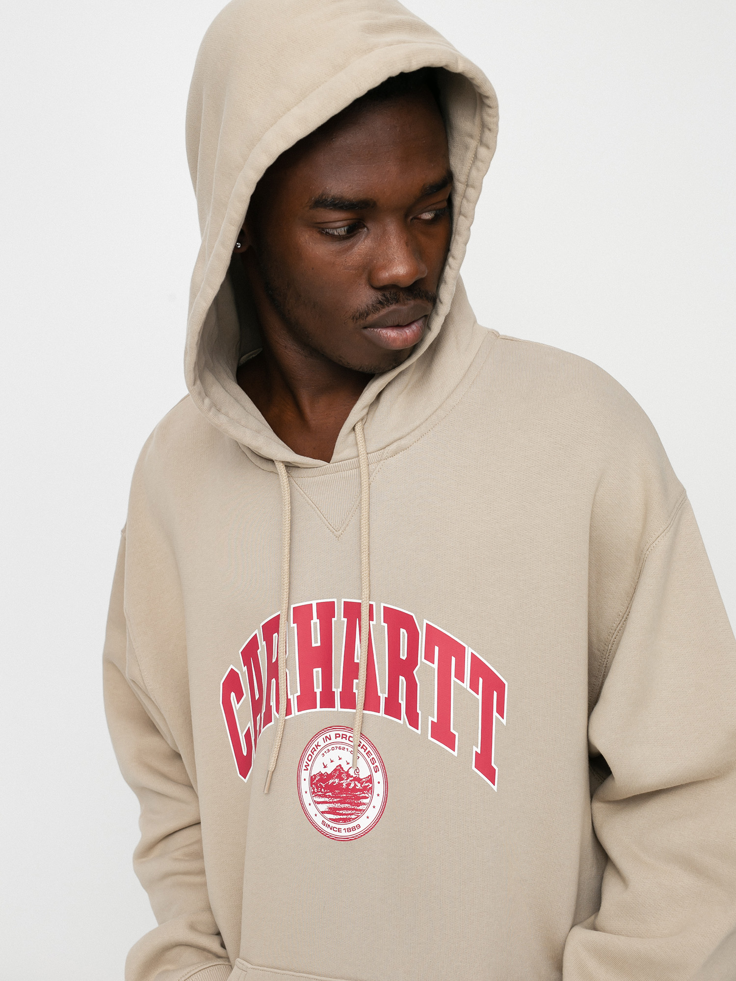 Carhartt WIP Berkeley HD Hoodie (wall)