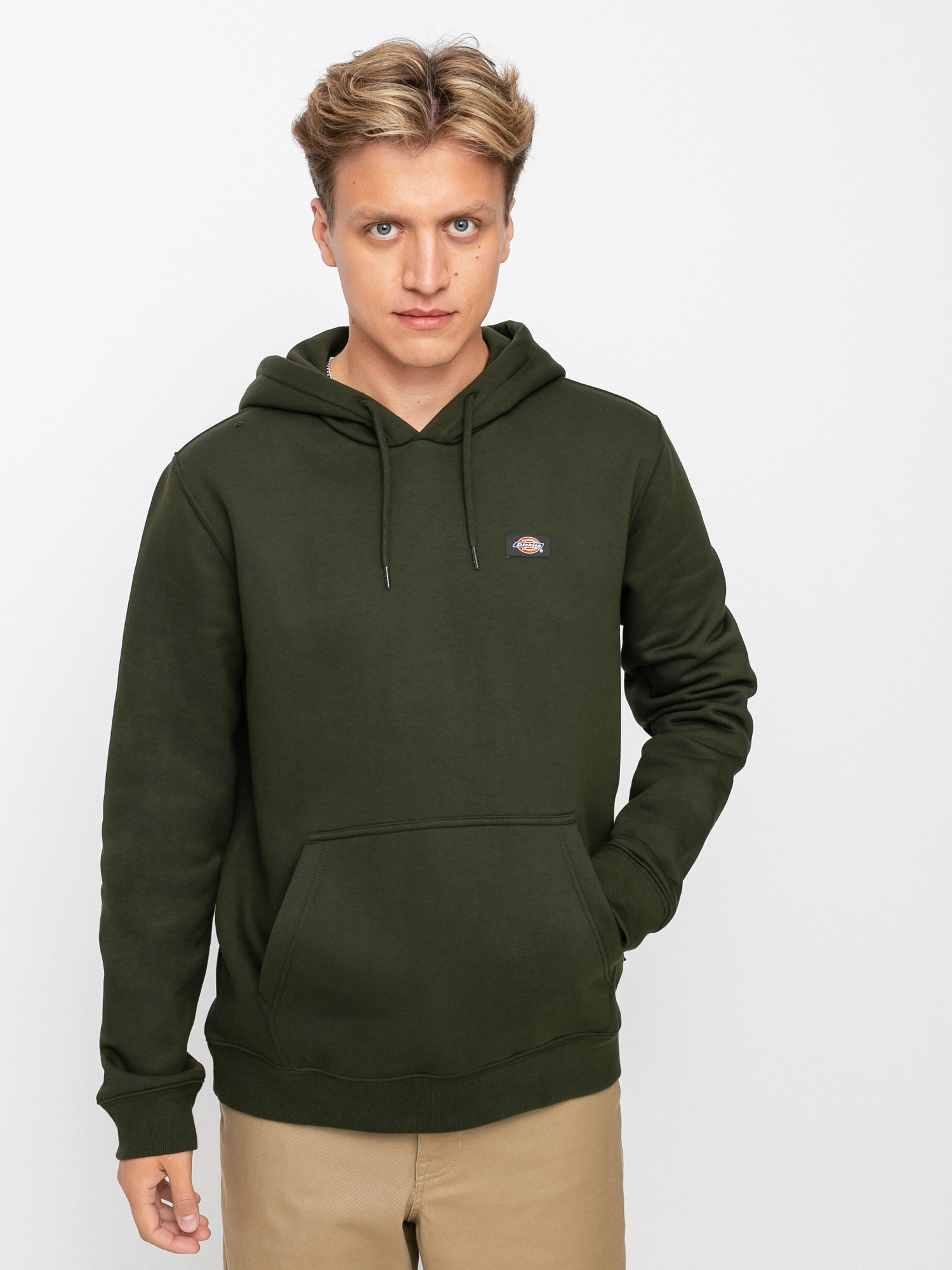 Dickies Oakport HD Hoodie (olive green)