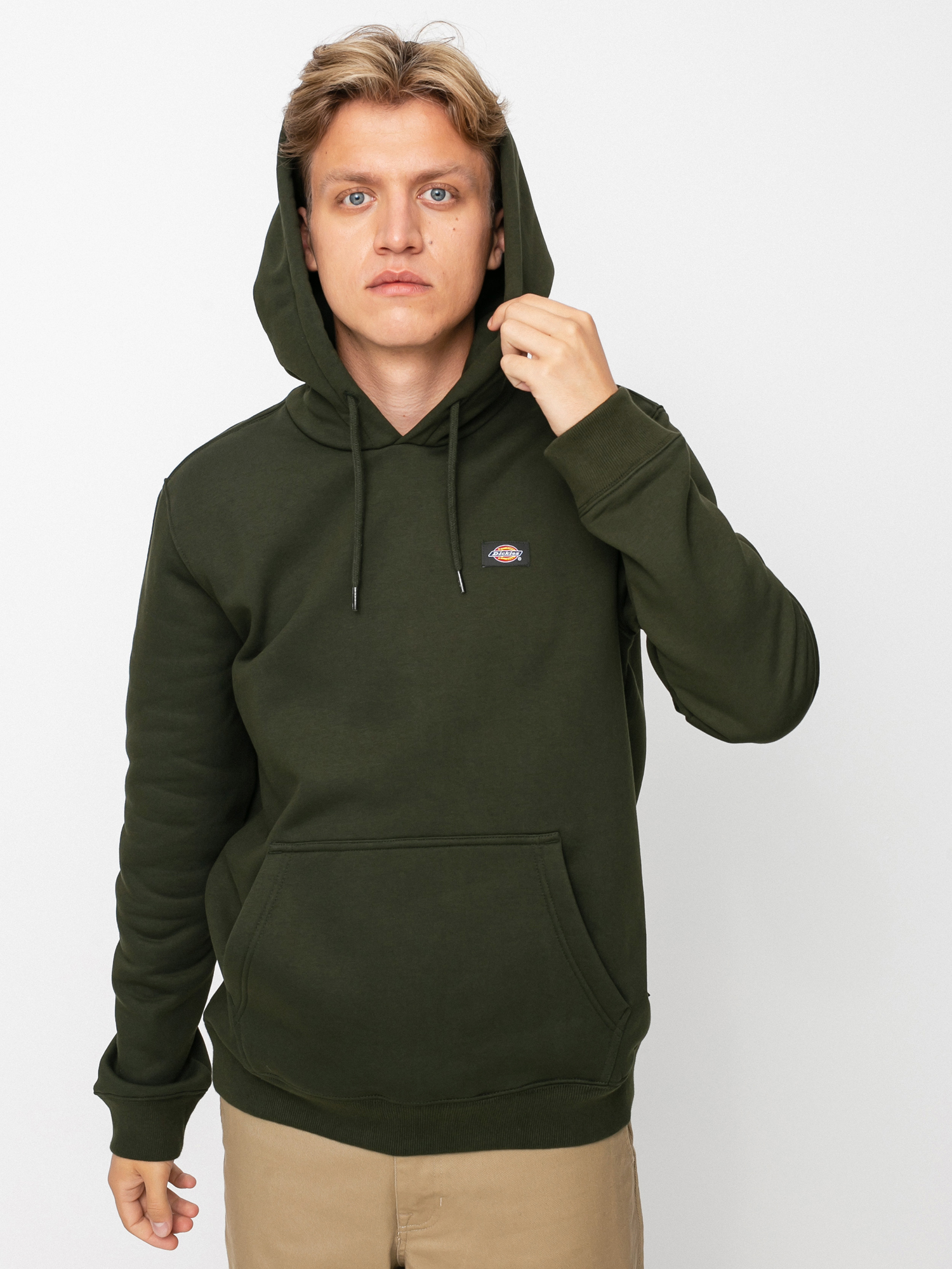 Dickies Oakport HD Hoodie (olive green)