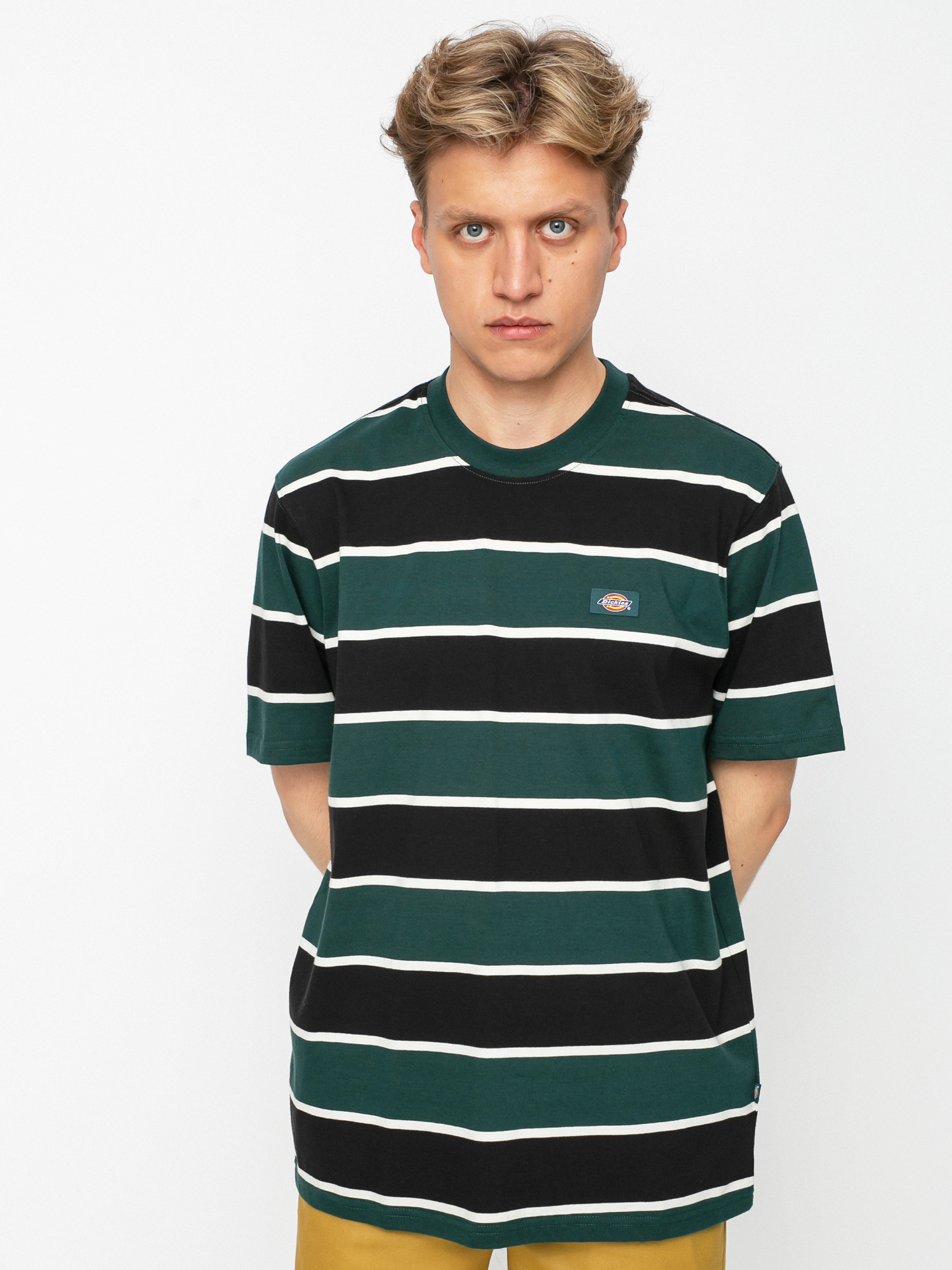Dickies Oakhaven T-shirt (ponderosa pine)