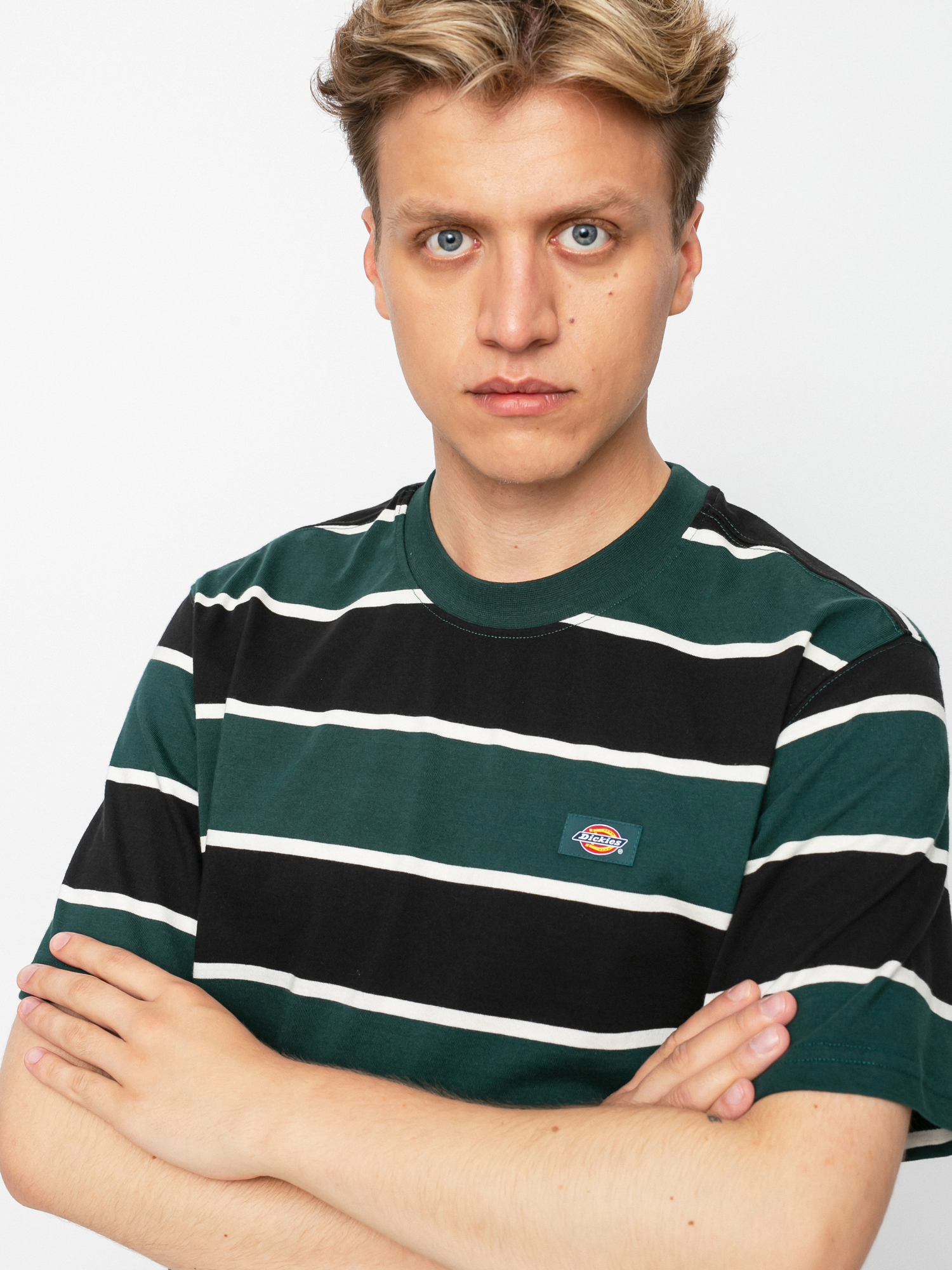 Dickies Oakhaven T-shirt (ponderosa pine)