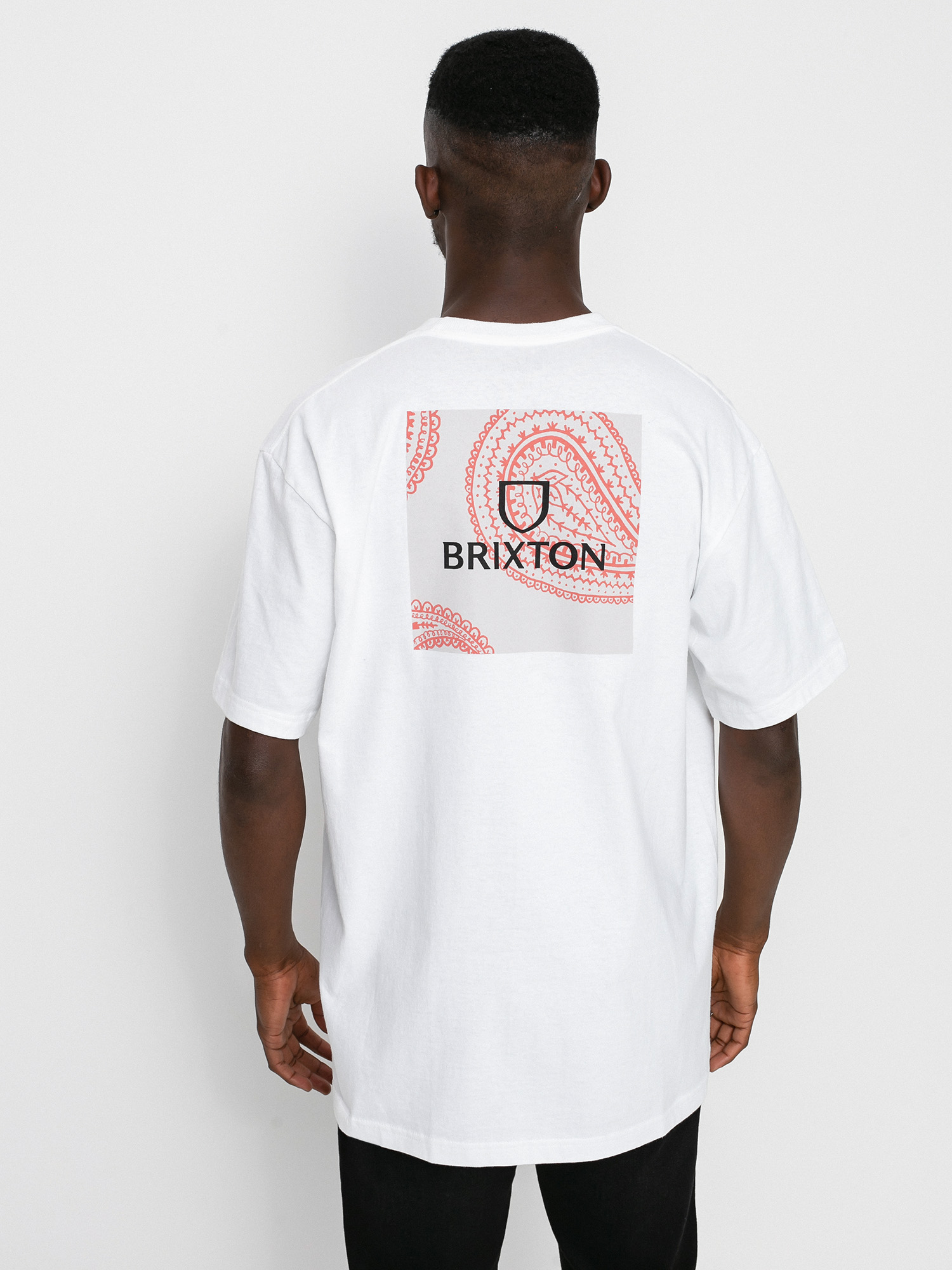 Brixton Alpha Square Stt T-shirt (paisley white)