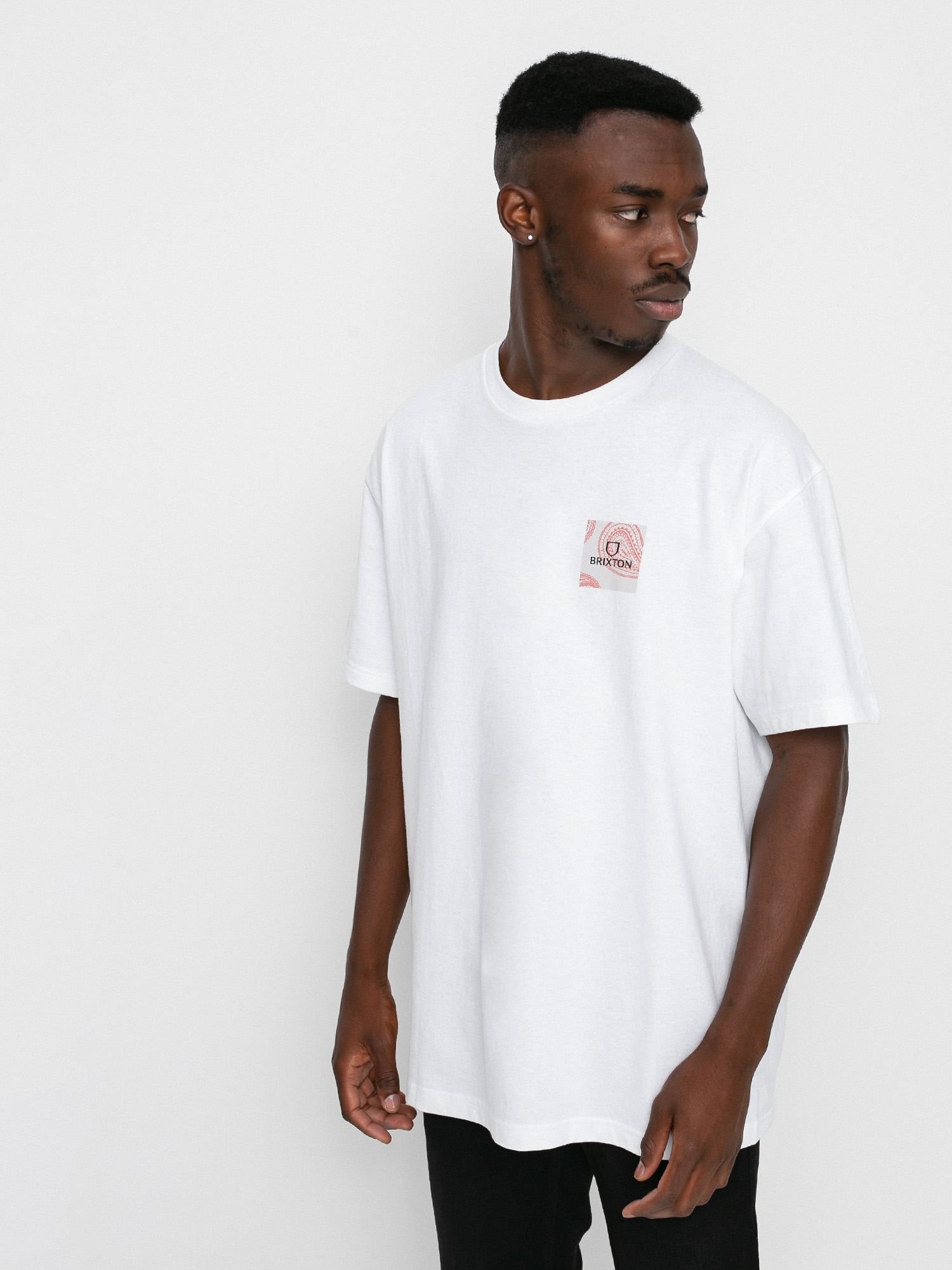 Brixton Alpha Square Stt T-shirt (paisley white)