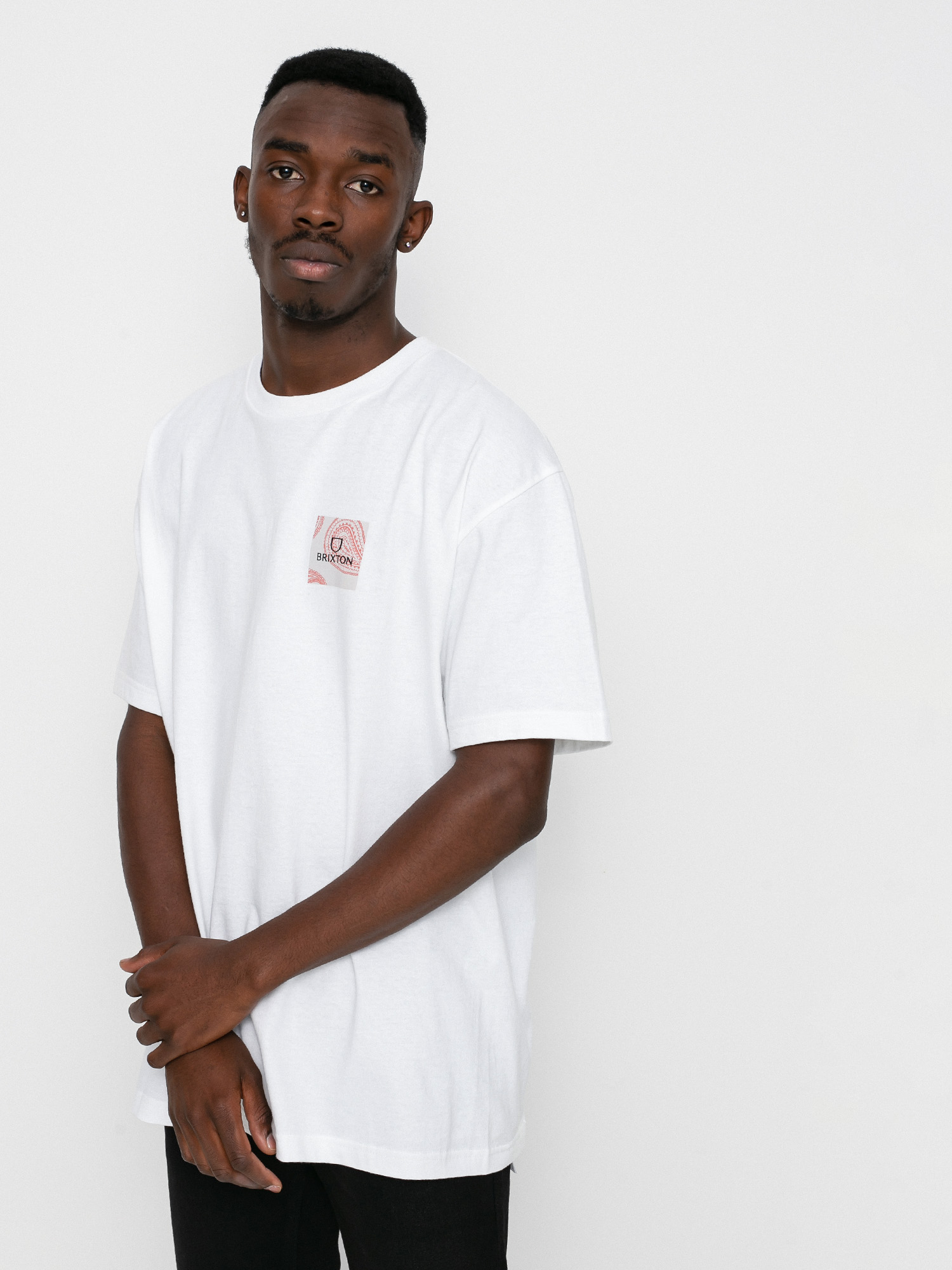 Brixton Alpha Square Stt T-shirt (paisley white)