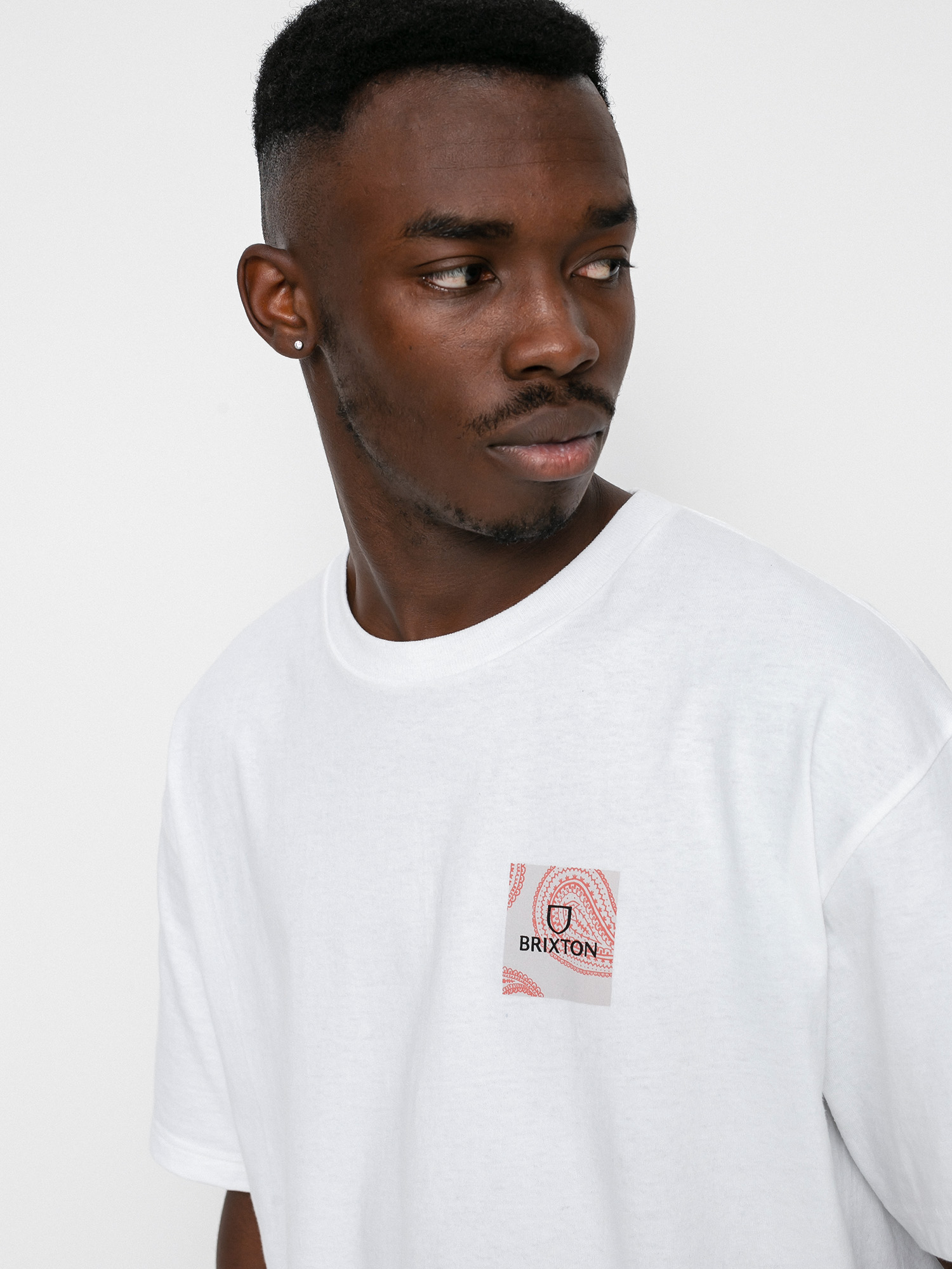 Brixton Alpha Square Stt T-shirt (paisley white)