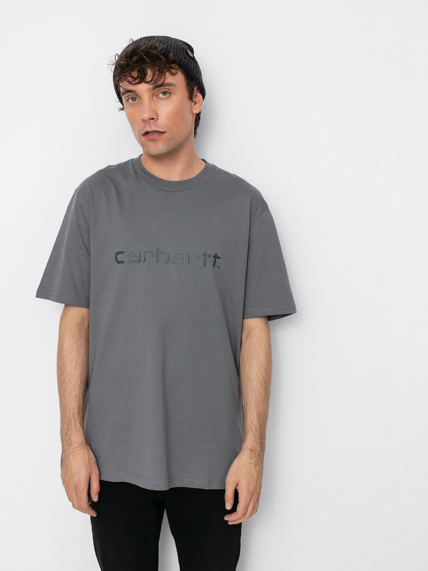 Carhartt WIP Script T-shirt (shiver/blacksmith)