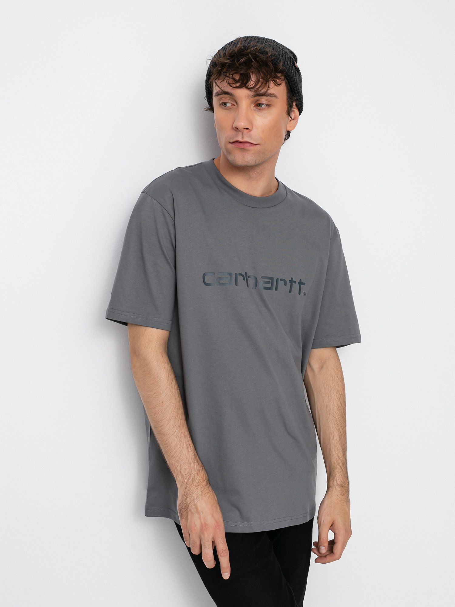 Carhartt WIP Script T-shirt (shiver/blacksmith)
