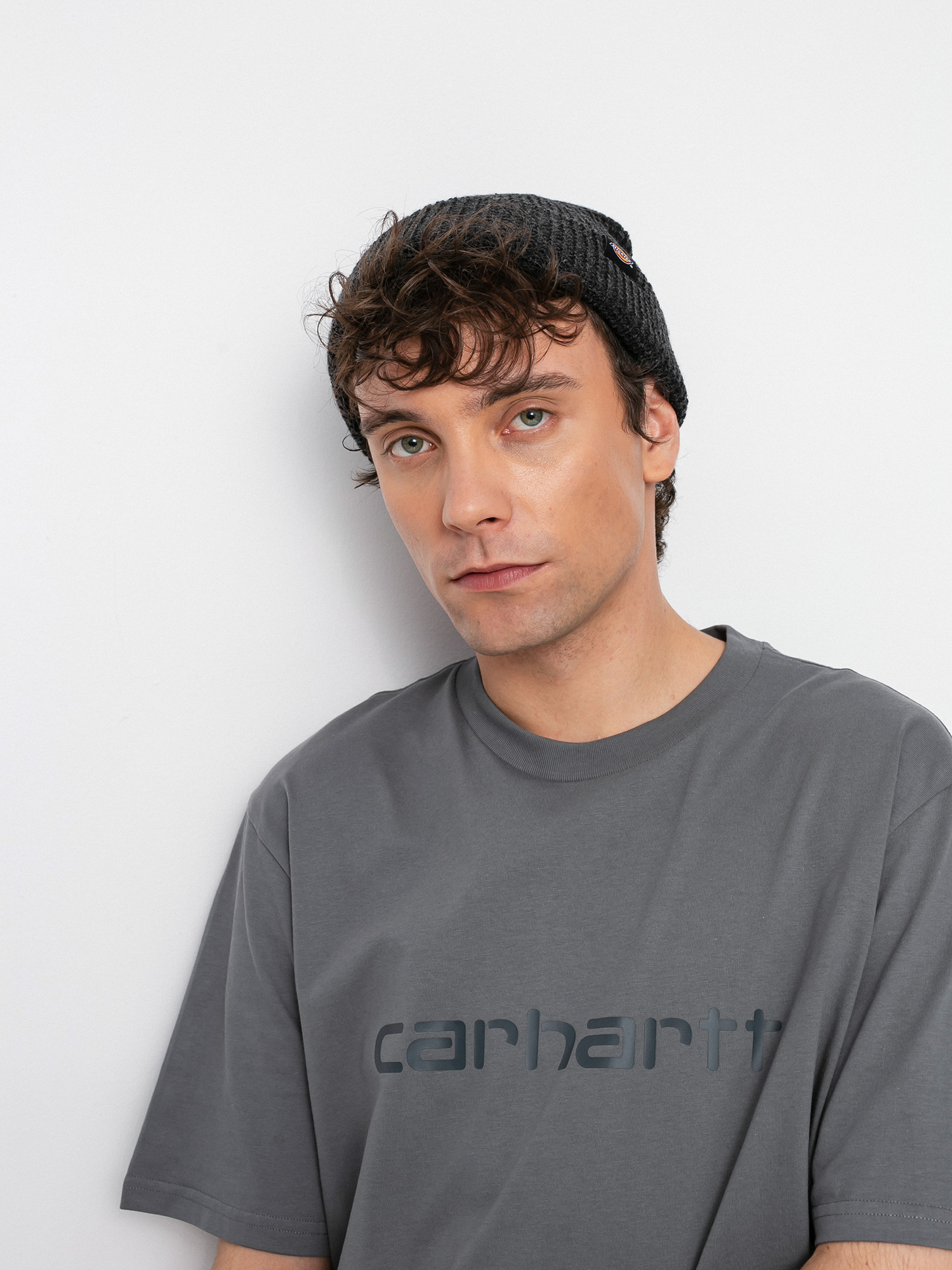 Carhartt WIP Script T-shirt (shiver/blacksmith)