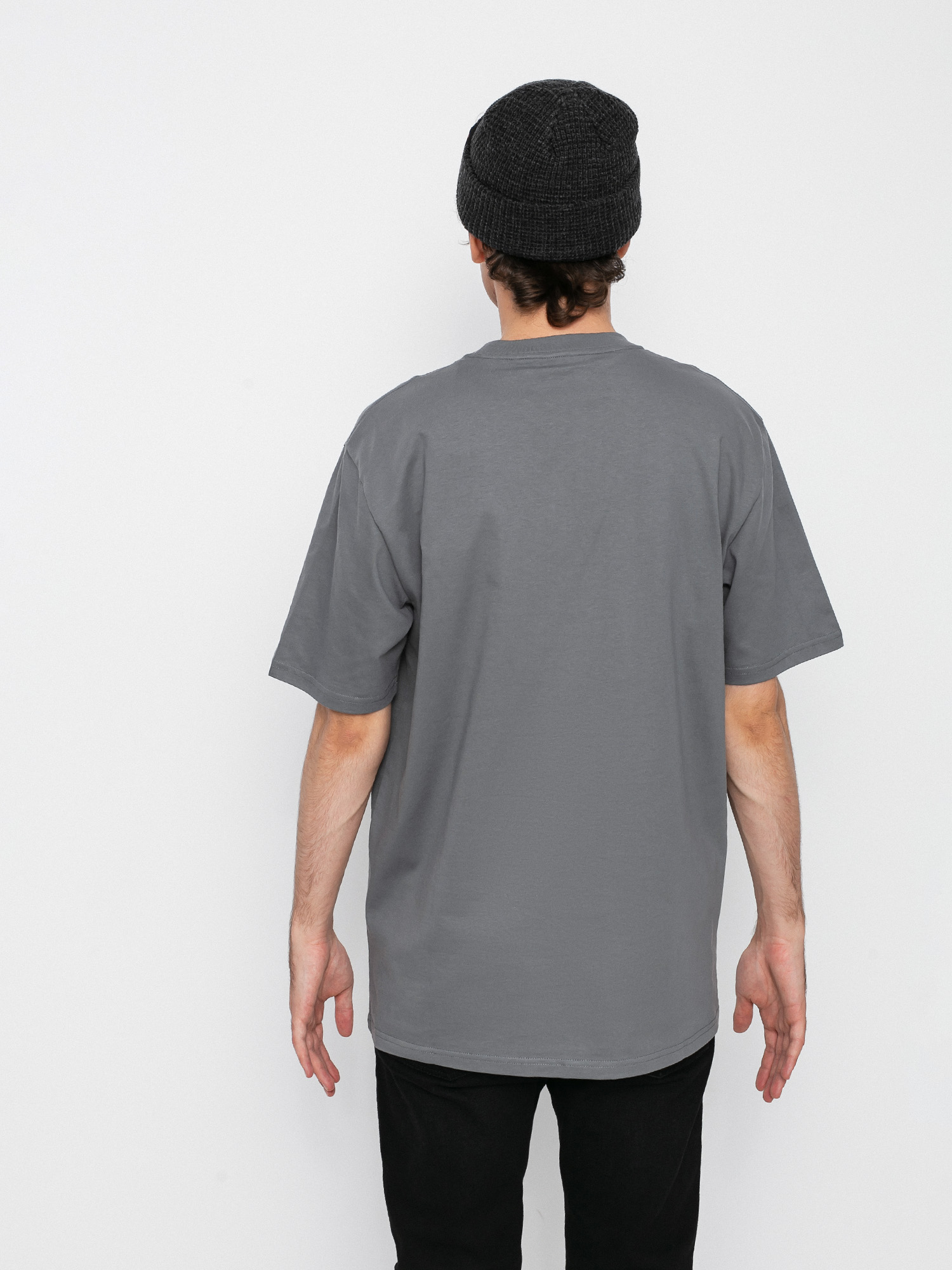 Carhartt WIP Script T-shirt (shiver/blacksmith)