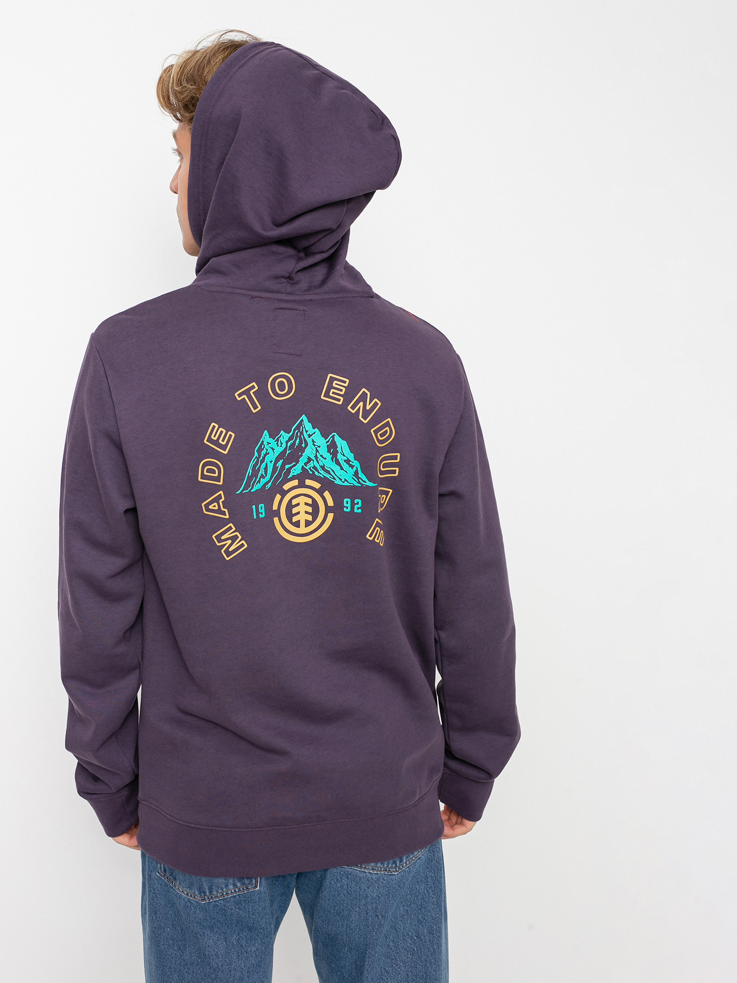 Element Ivyhill HD Hoodie (mysterioso)