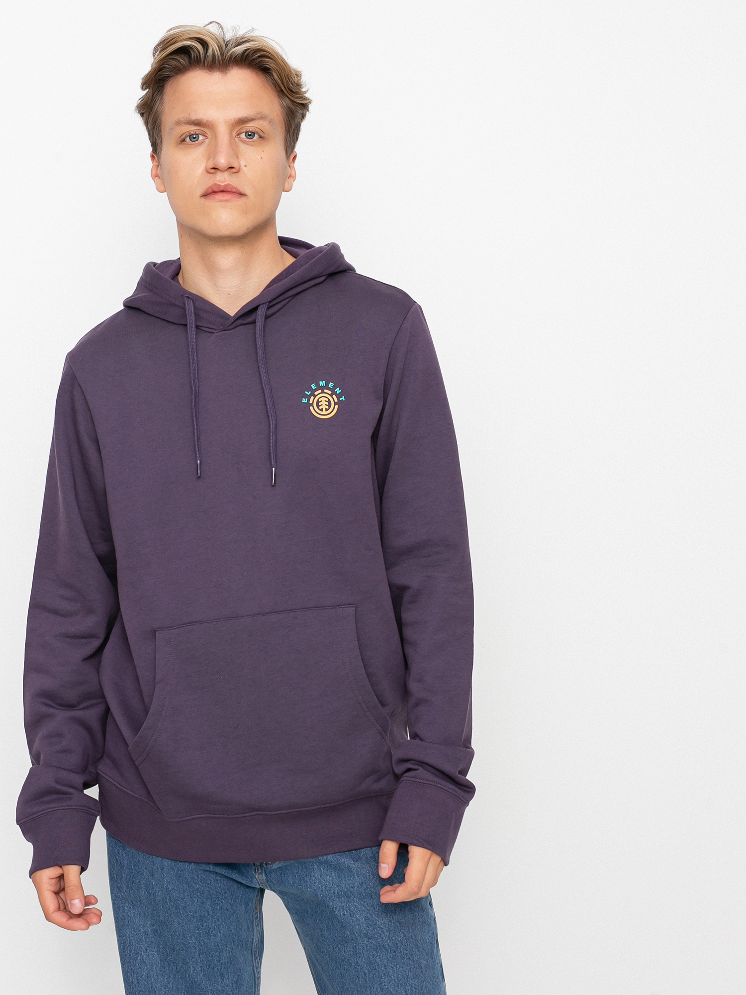 Element Ivyhill HD Hoodie (mysterioso)