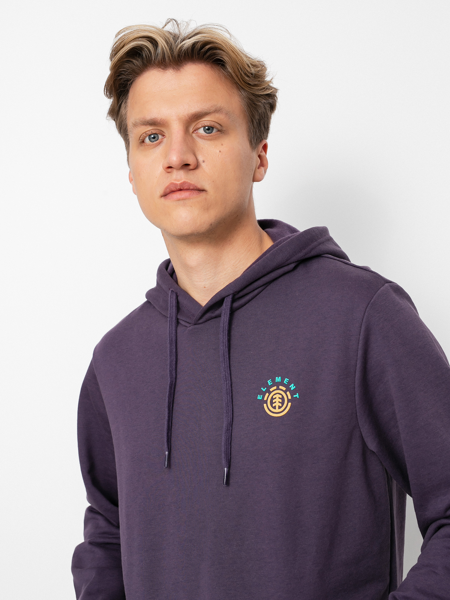 Element Ivyhill HD Hoodie (mysterioso)