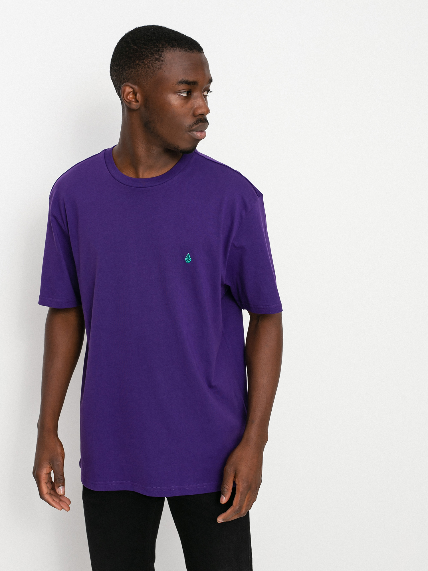 Volcom Stone Blanks Bsc T-shirt (violet 