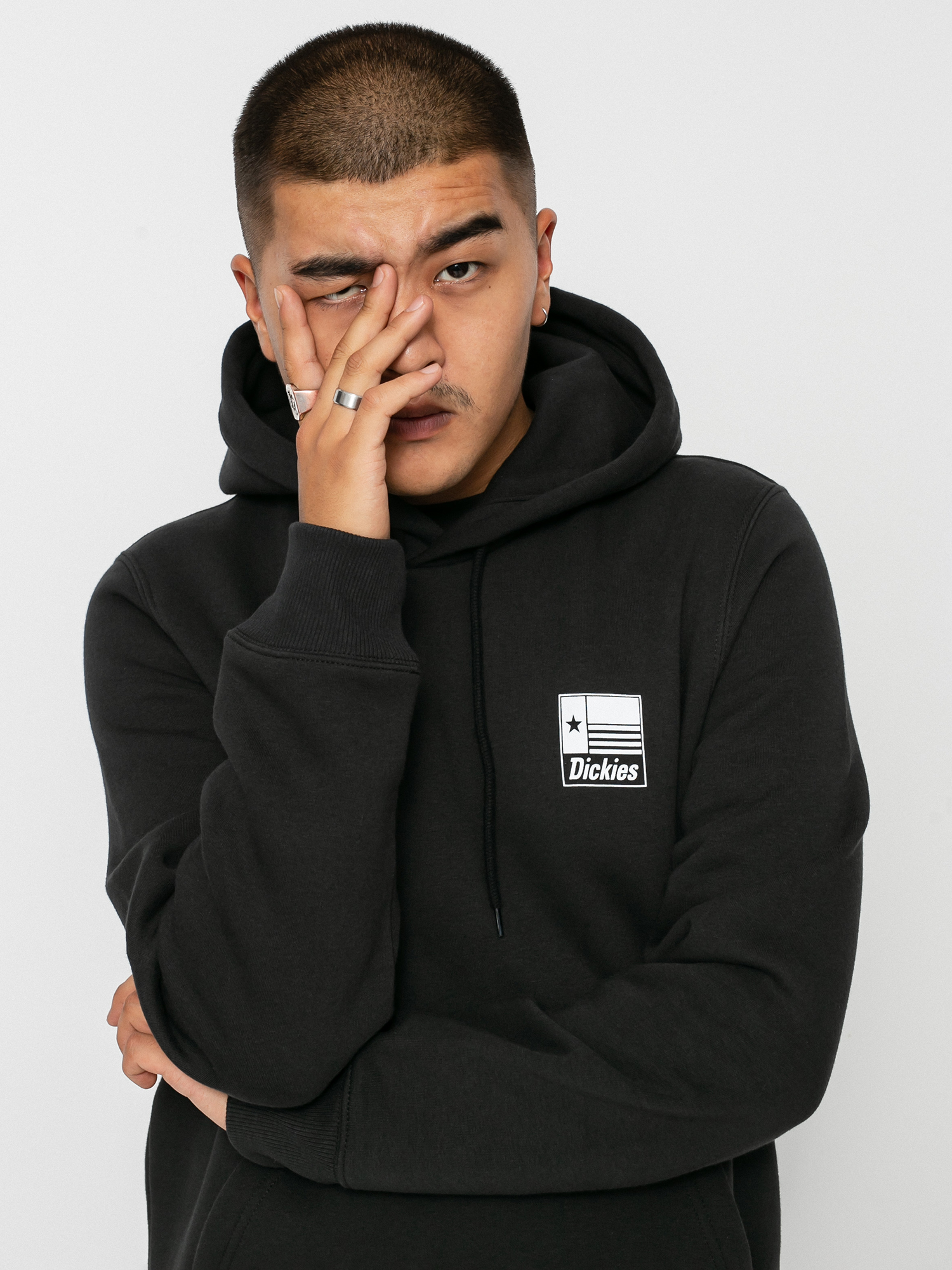 Dickies Taylor HD Hoodie (black)