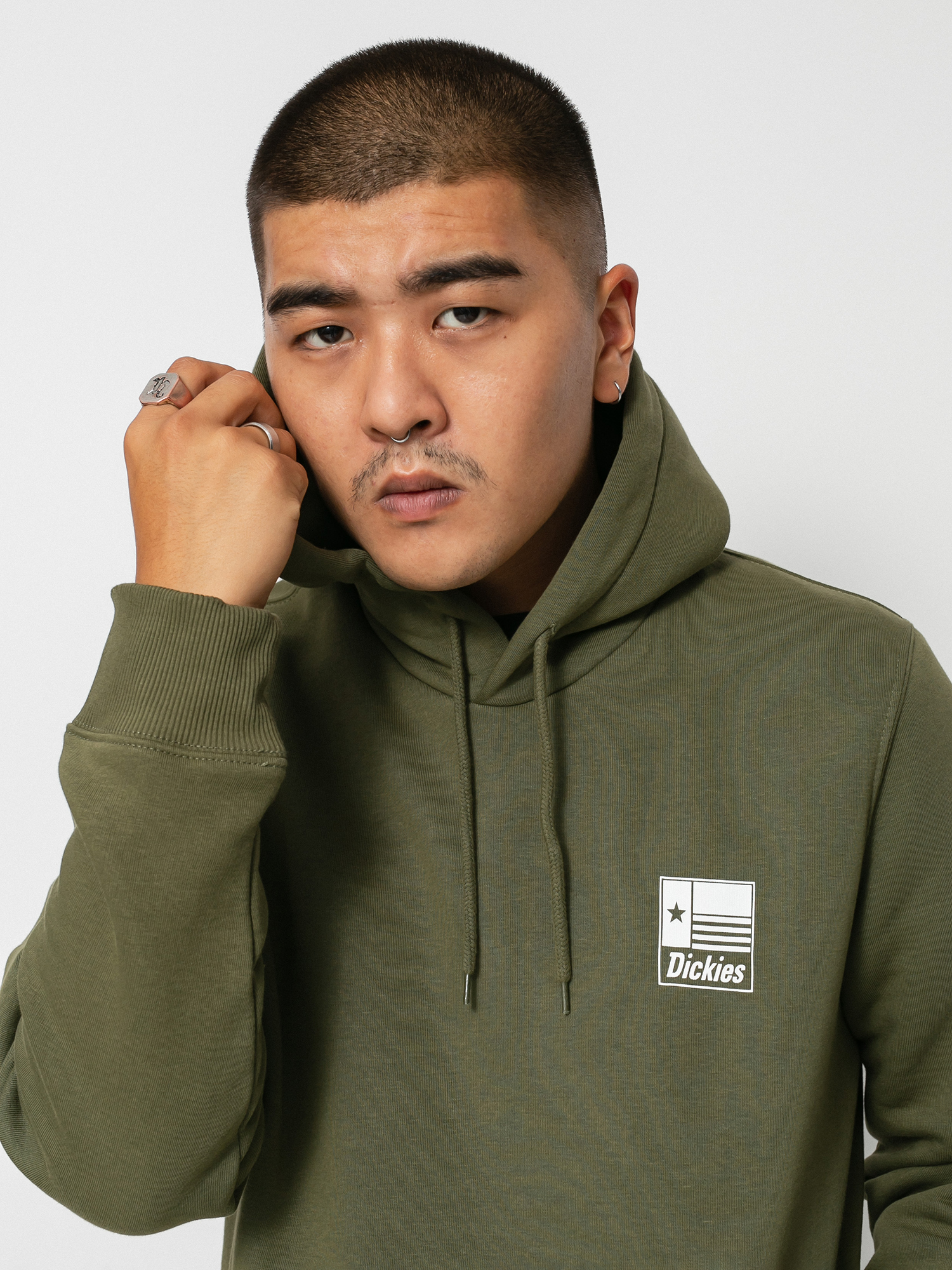 Dickies Taylor HD Hoodie (military gr)