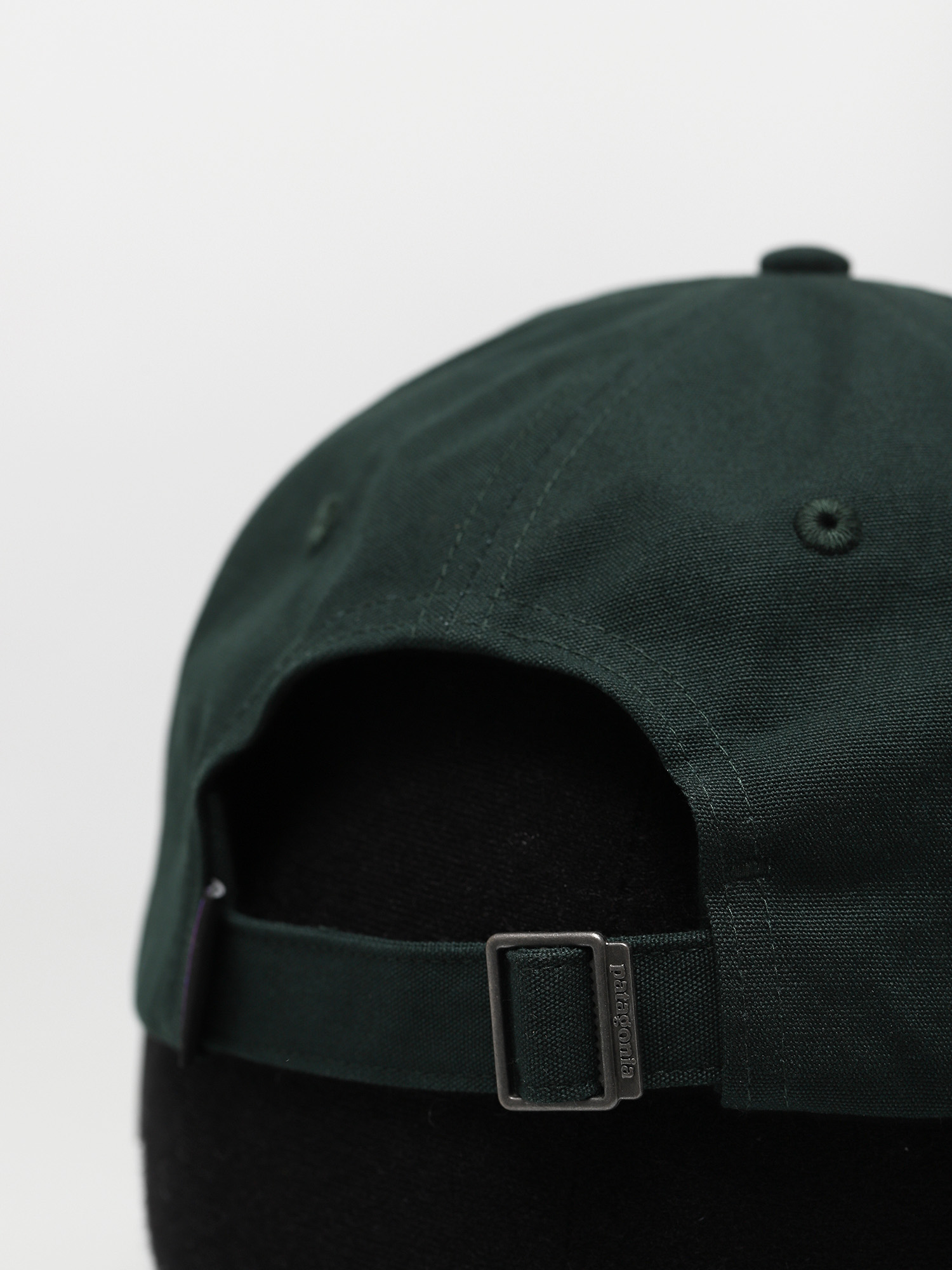 Patagonia P 6 Label Trad Cap (northern green)