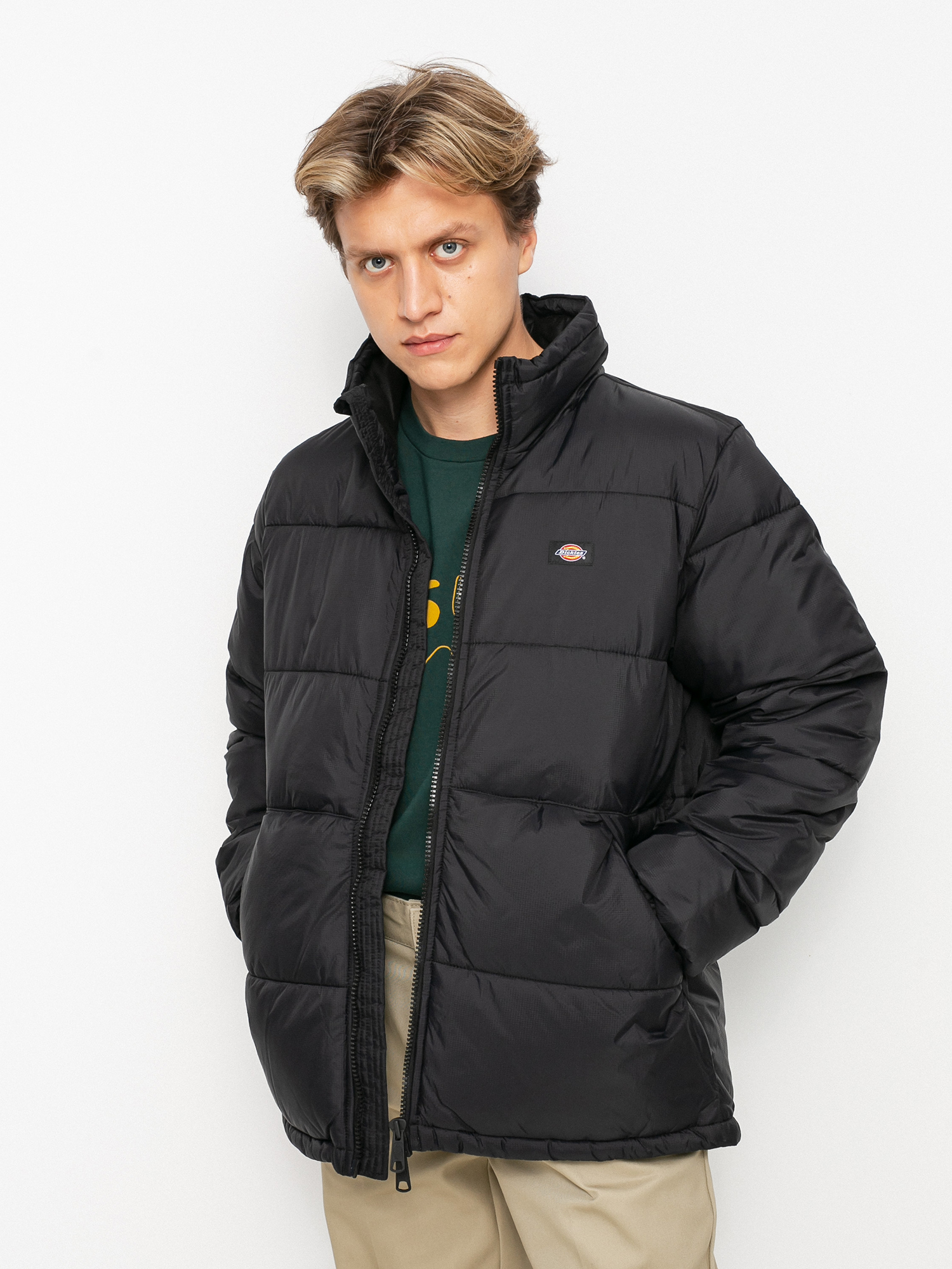 Dickies Waldenburg Jacke (black)