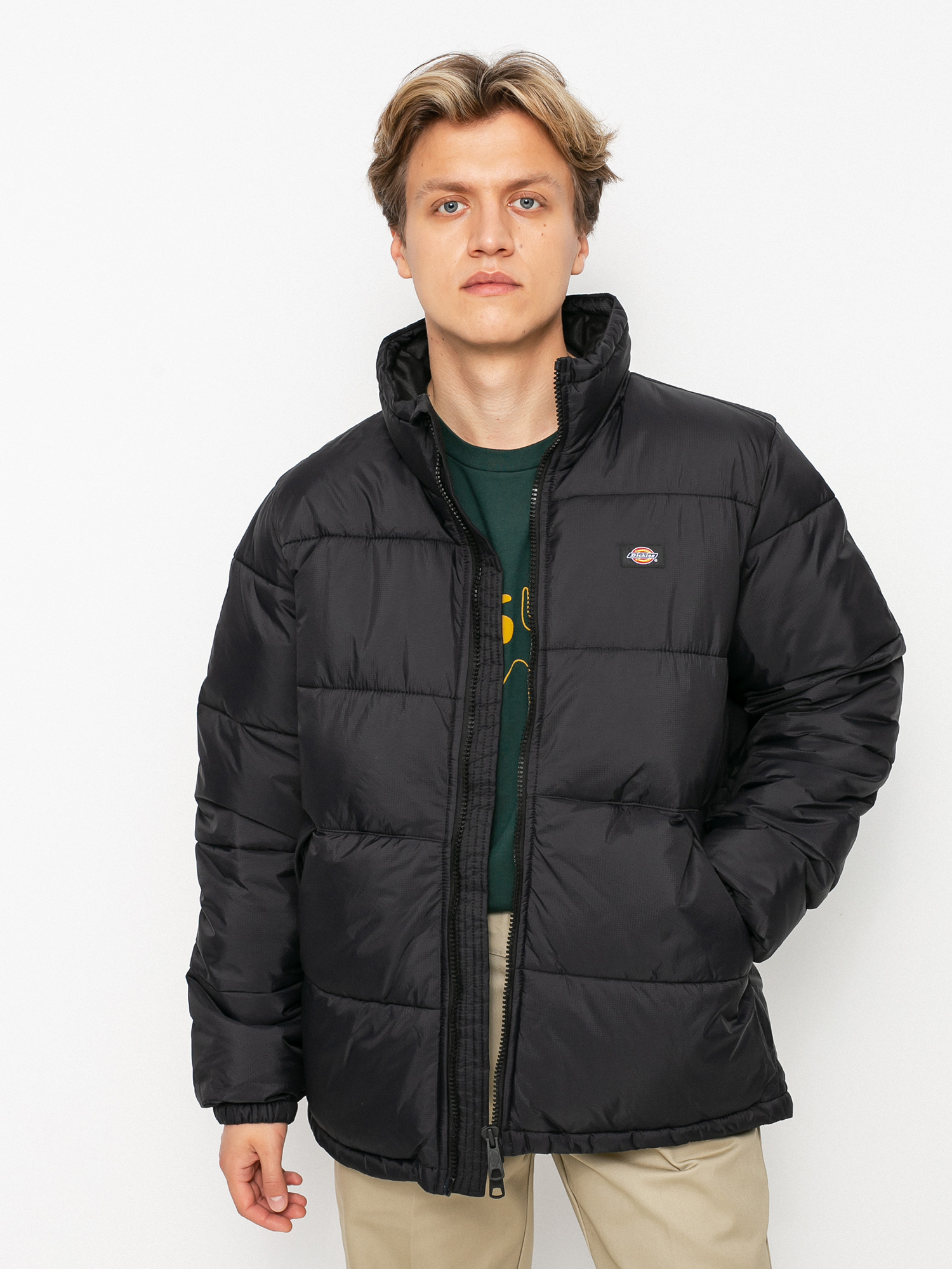 Dickies Waldenburg Jacket (black)