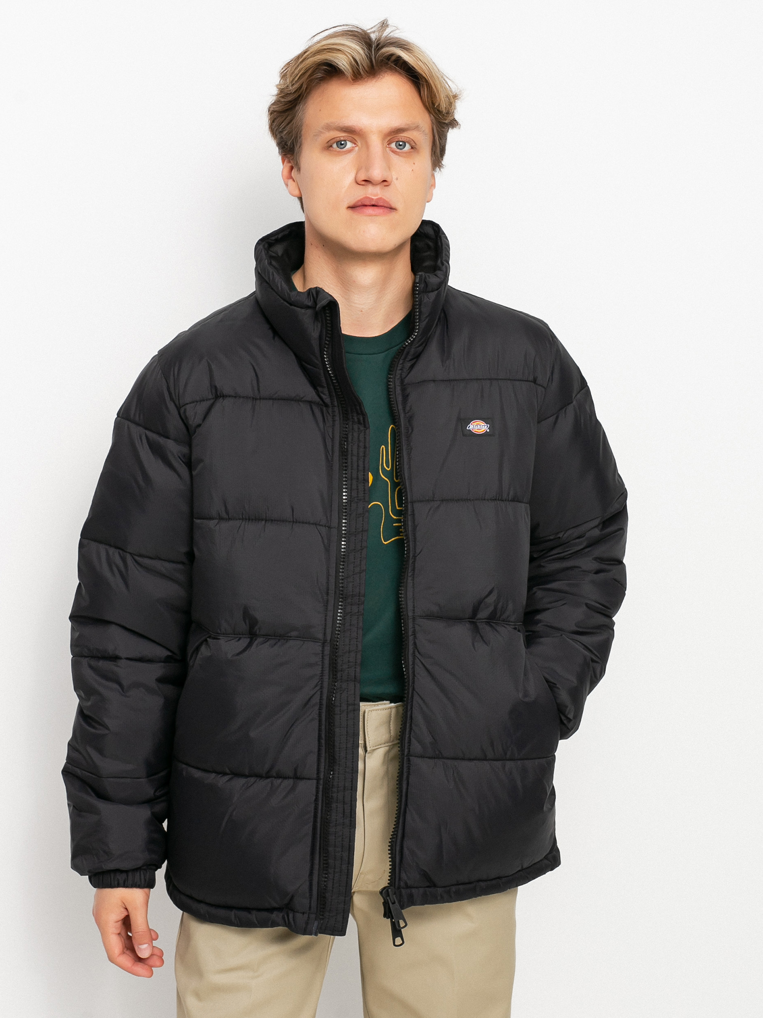 Dickies Waldenburg Jacke (black)