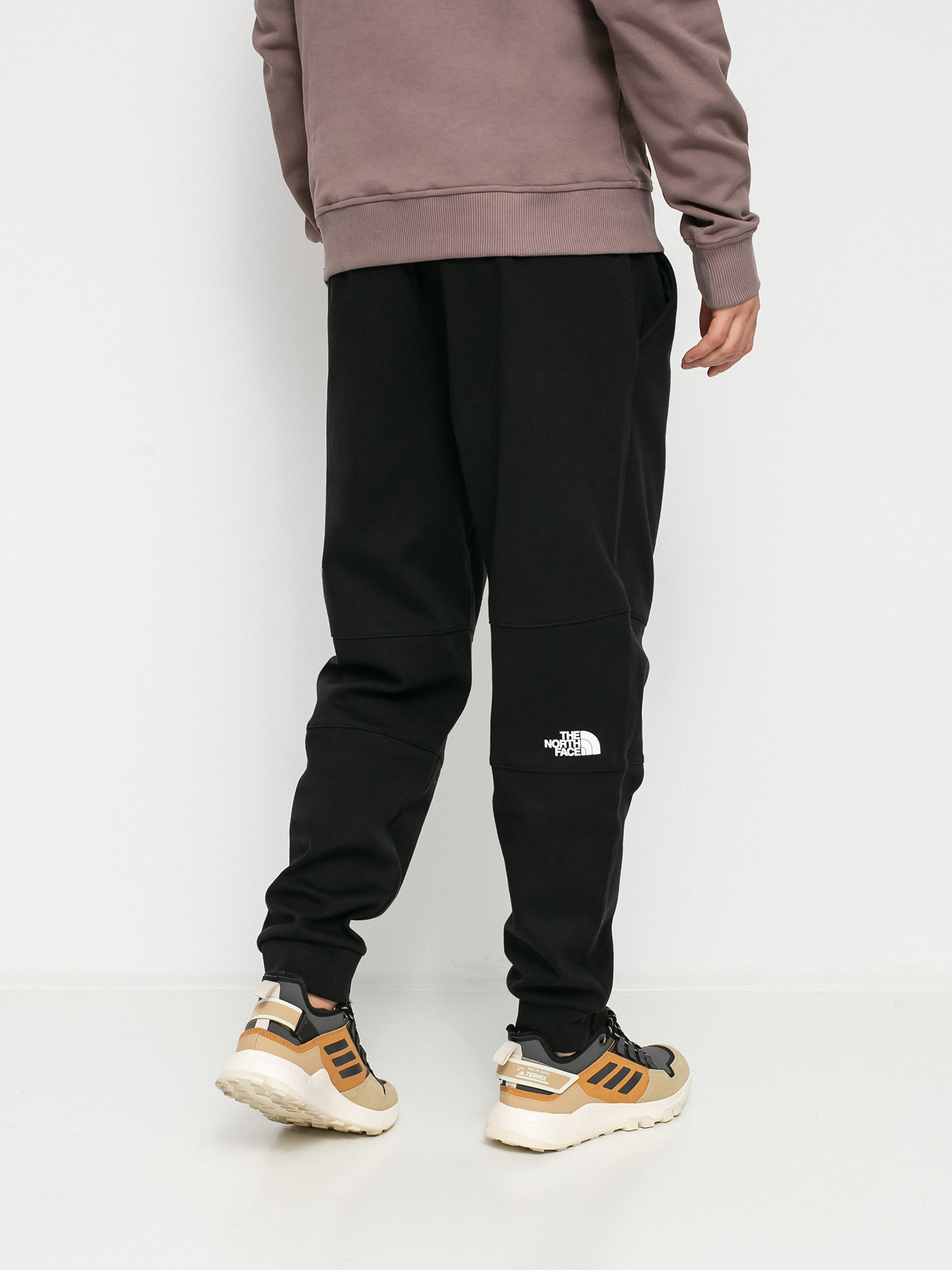 The North Face Fine 2 Pants (tnf black)