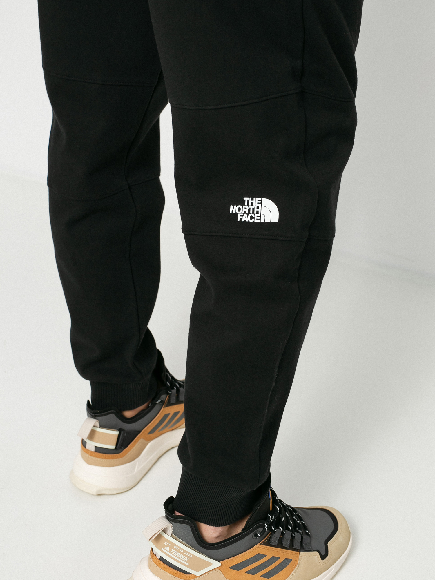 The North Face Fine 2 Pants (tnf black)