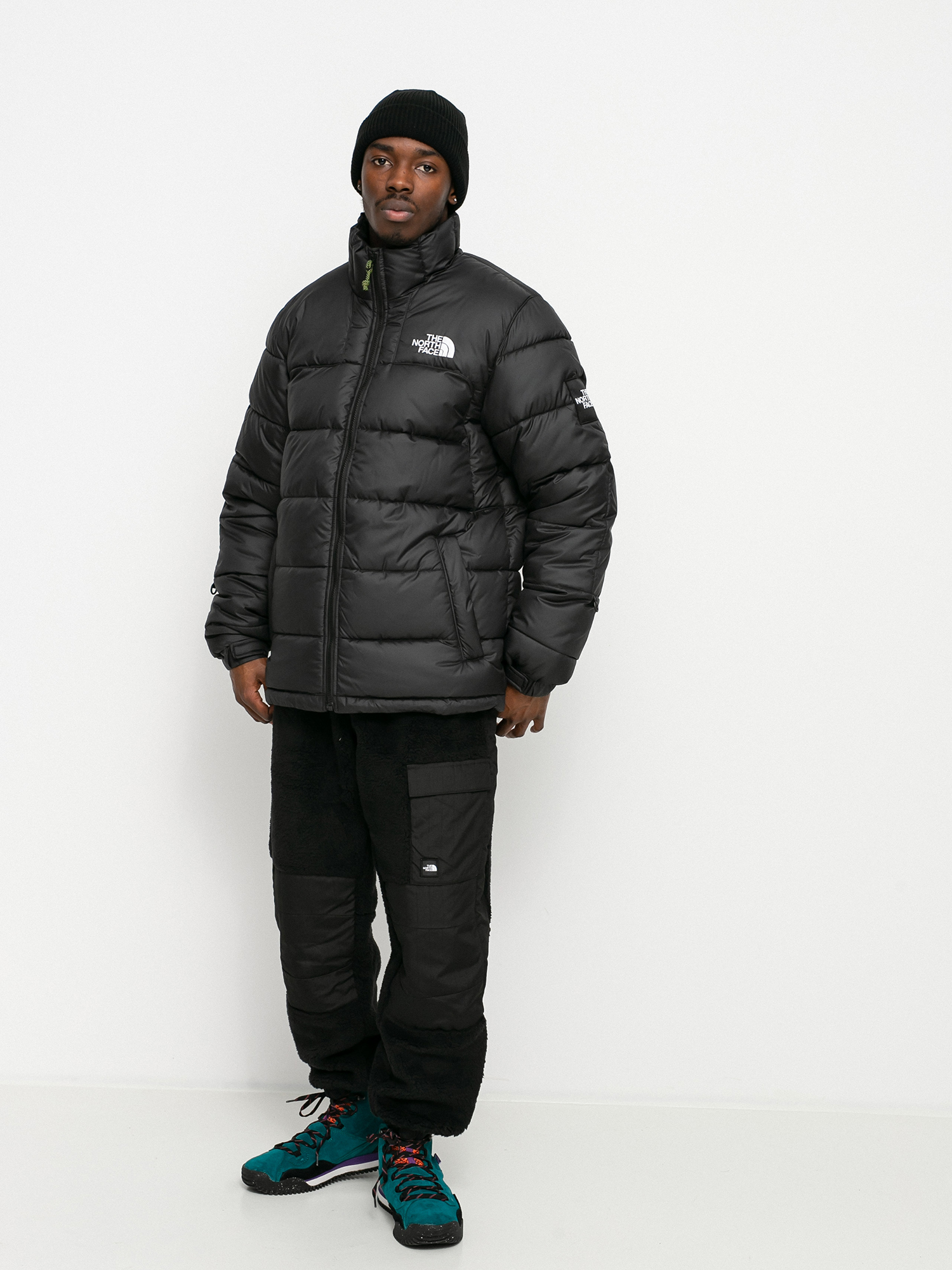 the north face coat with hood