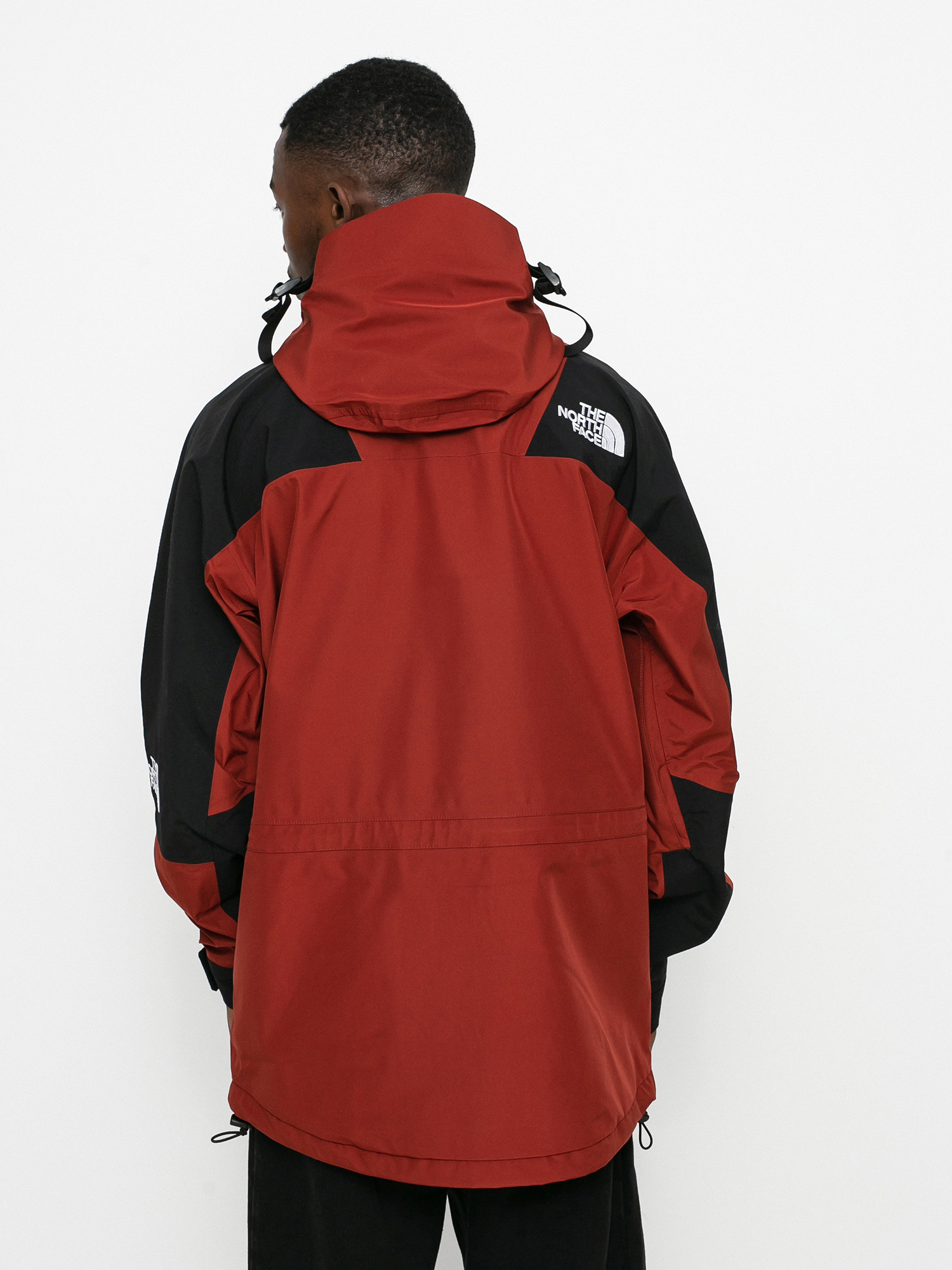 The North Face 1994 Retro Mountain Light Future Light Jacke