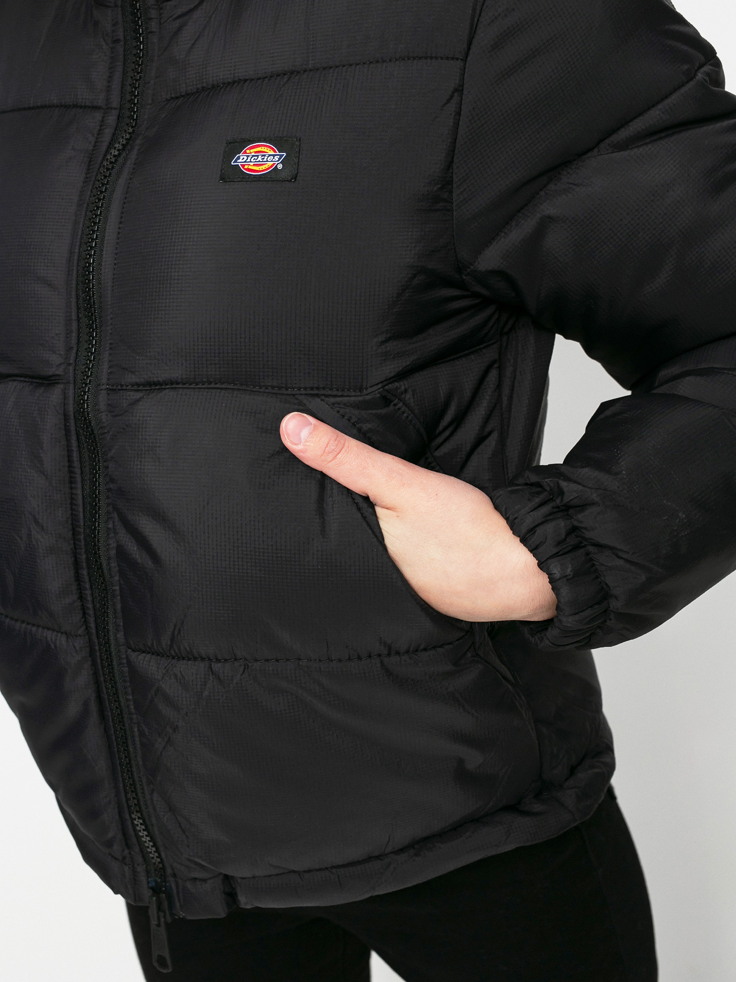 Dickies Alatna Jacket Wmn (black)