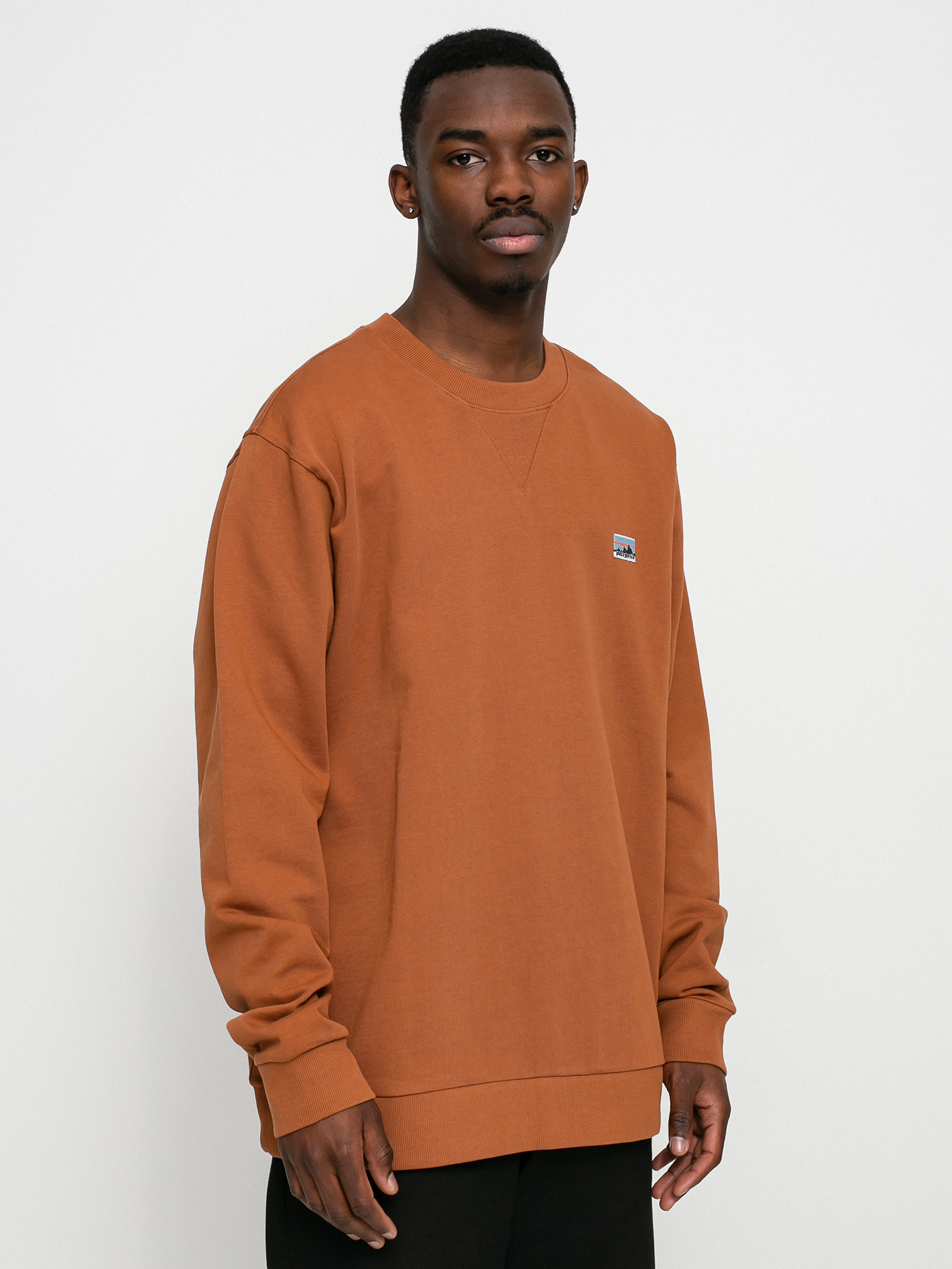 Patagonia Regenerative Organic Pilot Cotton Crewneck Sweatshirt (earthworm brown)