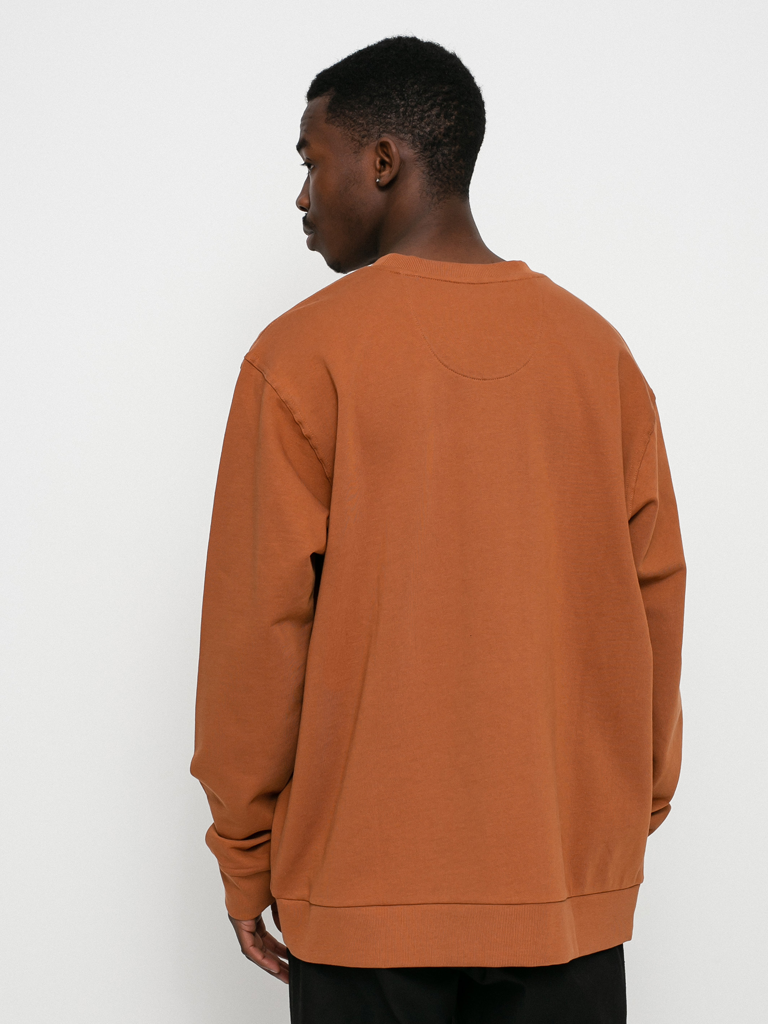 Patagonia Regenerative Organic Pilot Cotton Crewneck Sweatshirt (earthworm brown)