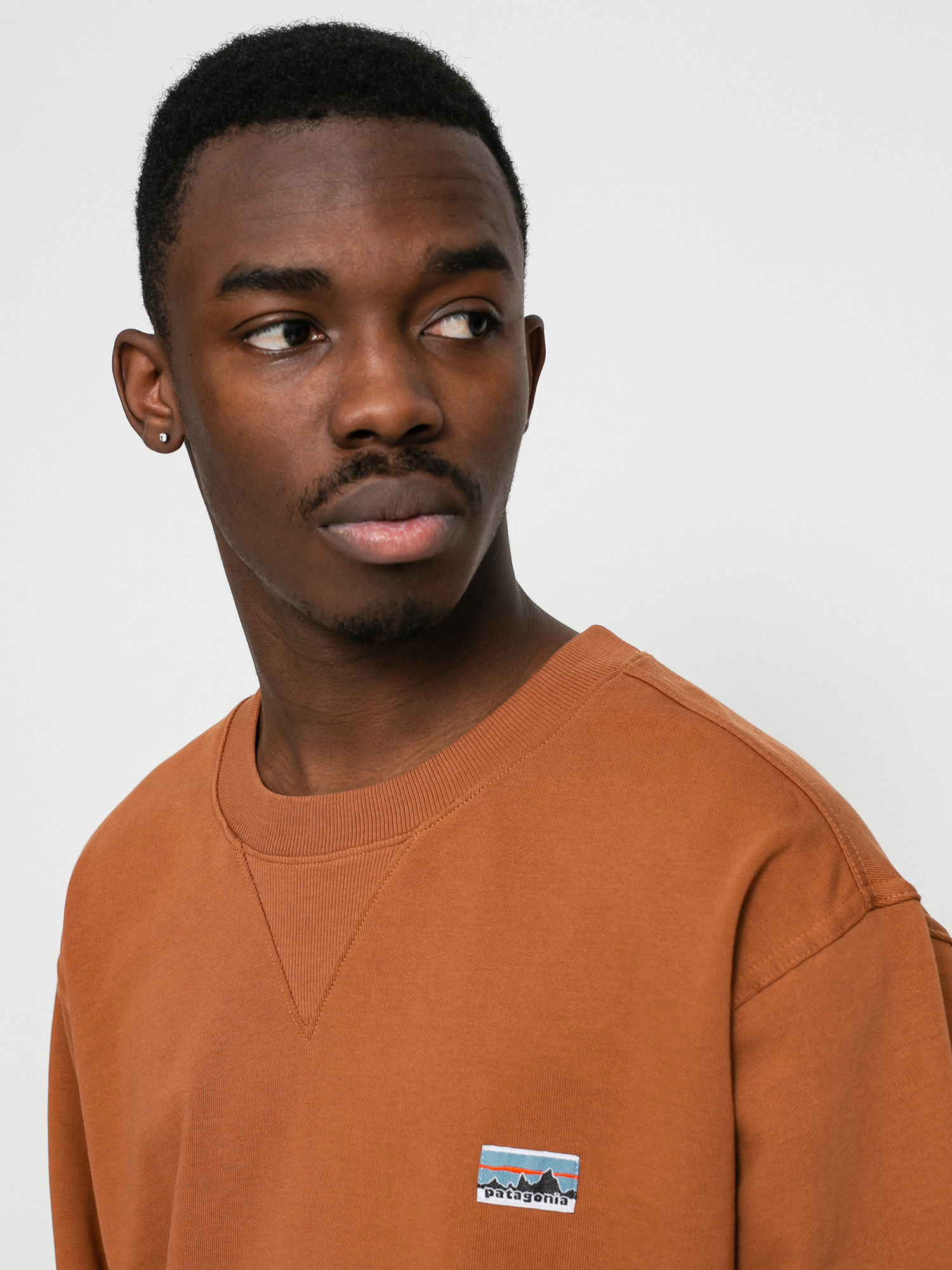 Patagonia Regenerative Organic Pilot Cotton Crewneck Sweatshirt (earthworm brown)