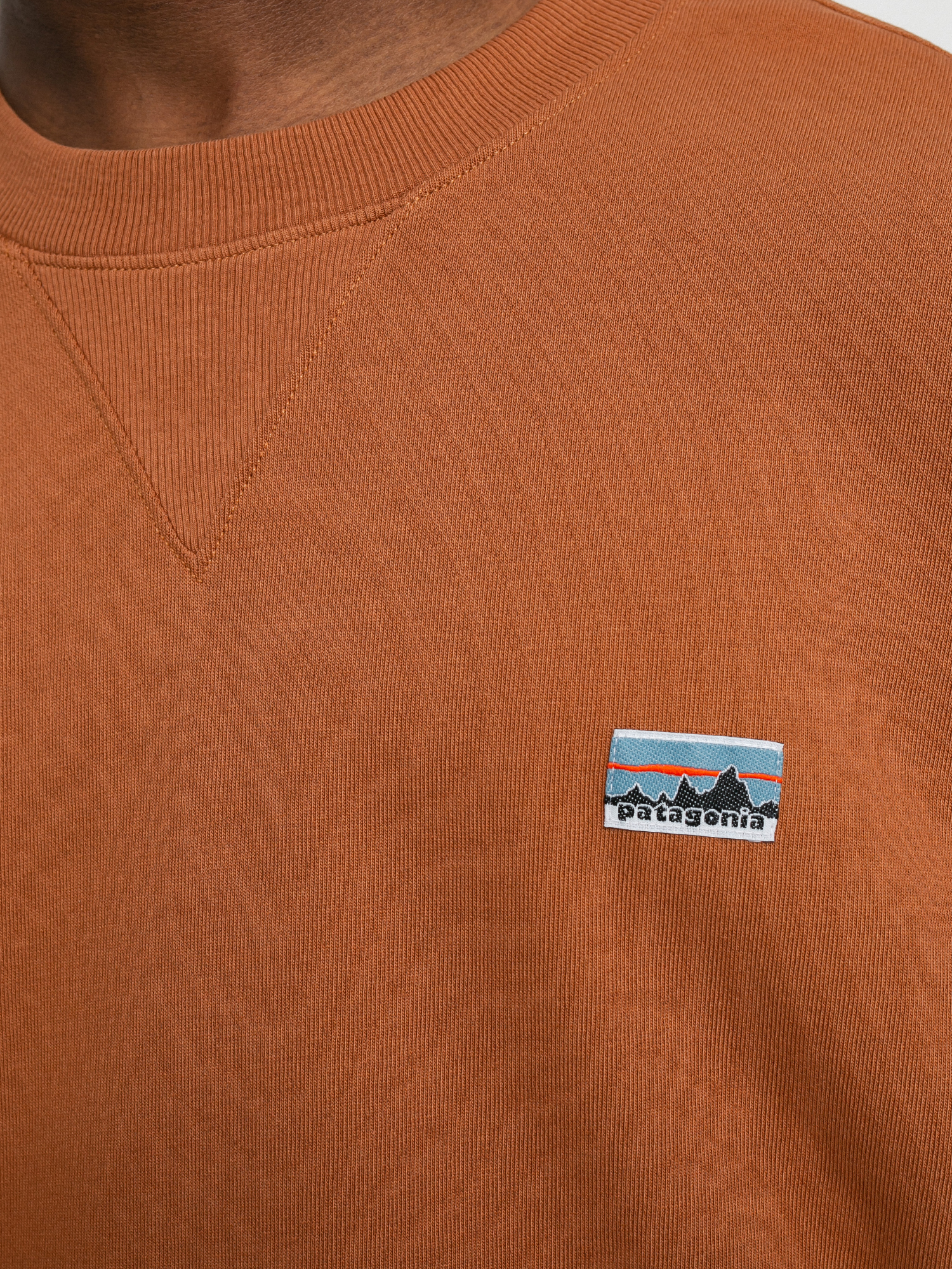 Patagonia Regenerative Organic Pilot Cotton Crewneck Sweatshirt (earthworm brown)