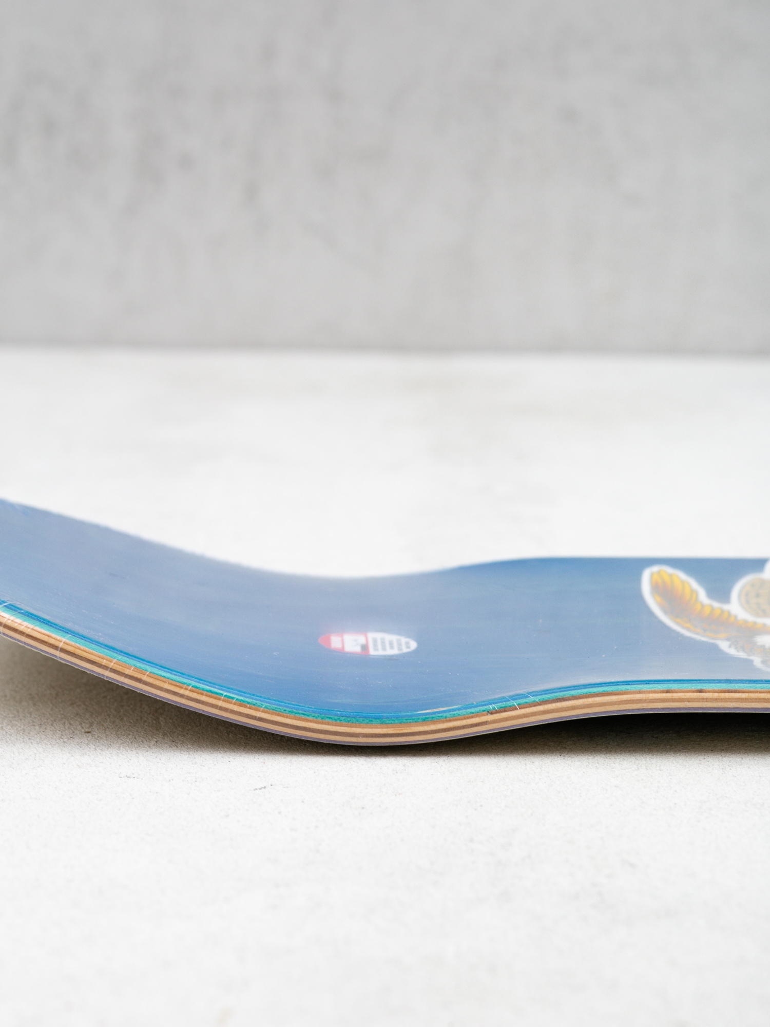 Antihero Taylor Krshnr Eagle Deck (beige)