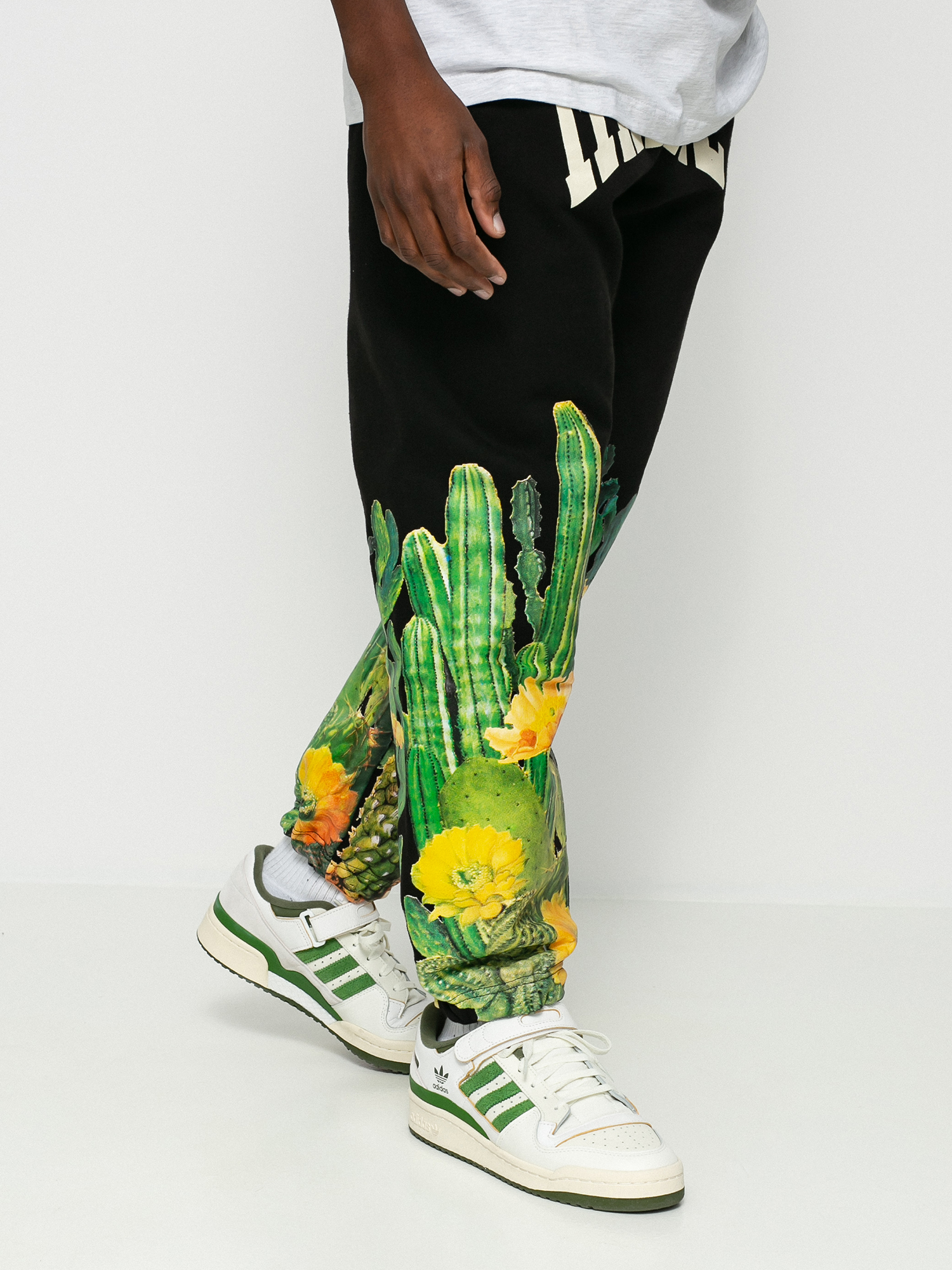 Chinatown Market Cactus Arc Pants (black)