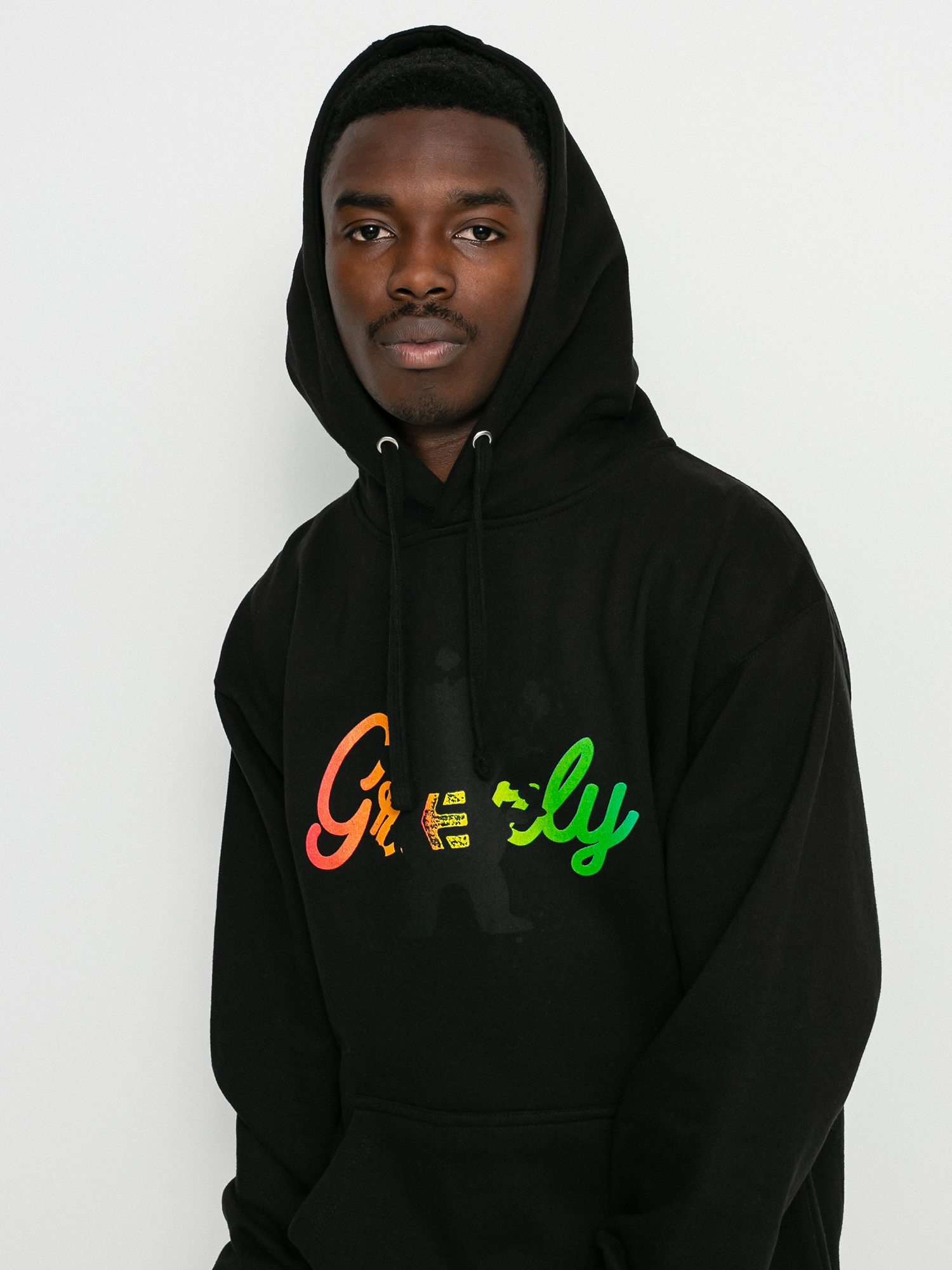 Etnies Grizzly HD Hoodie (black)