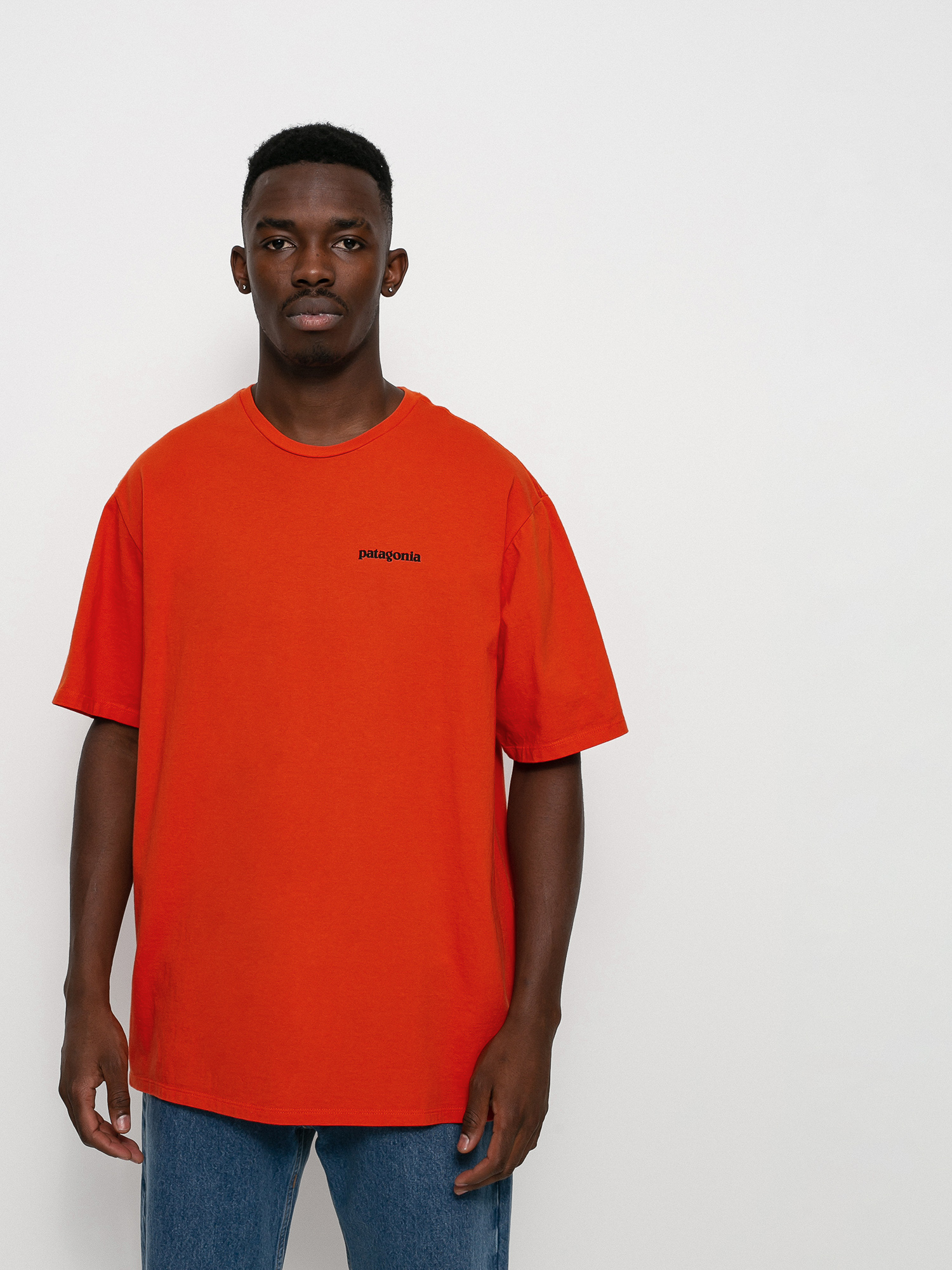 Patagonia P 6 Mission Organic T-shirt 
