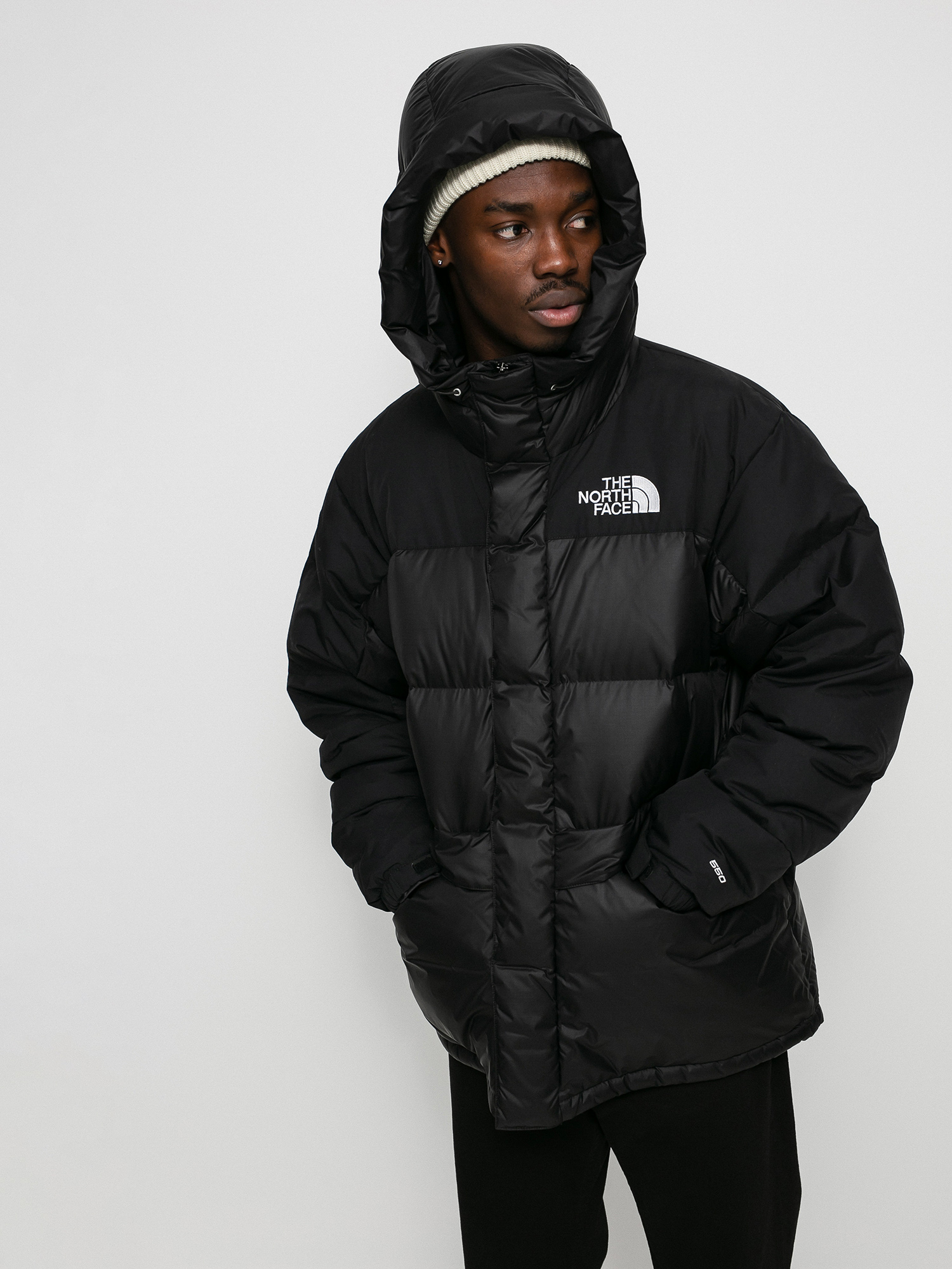 The North Face Hmlyn Down Parka Jacket (tnf black)