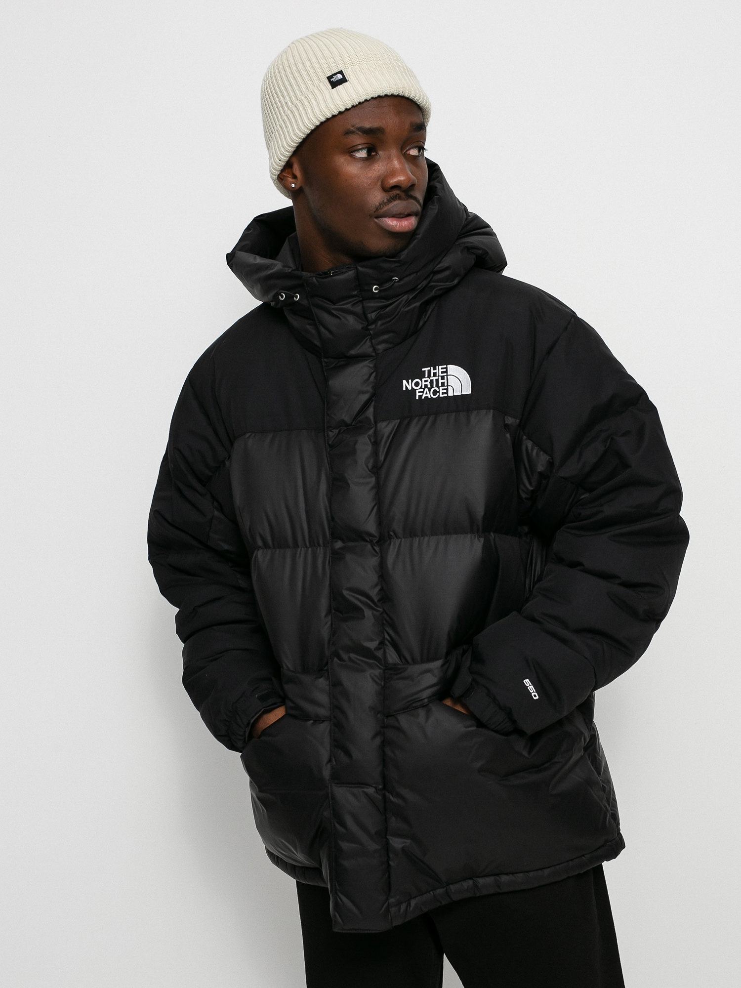 the north face m hmlyn down parka tnf black